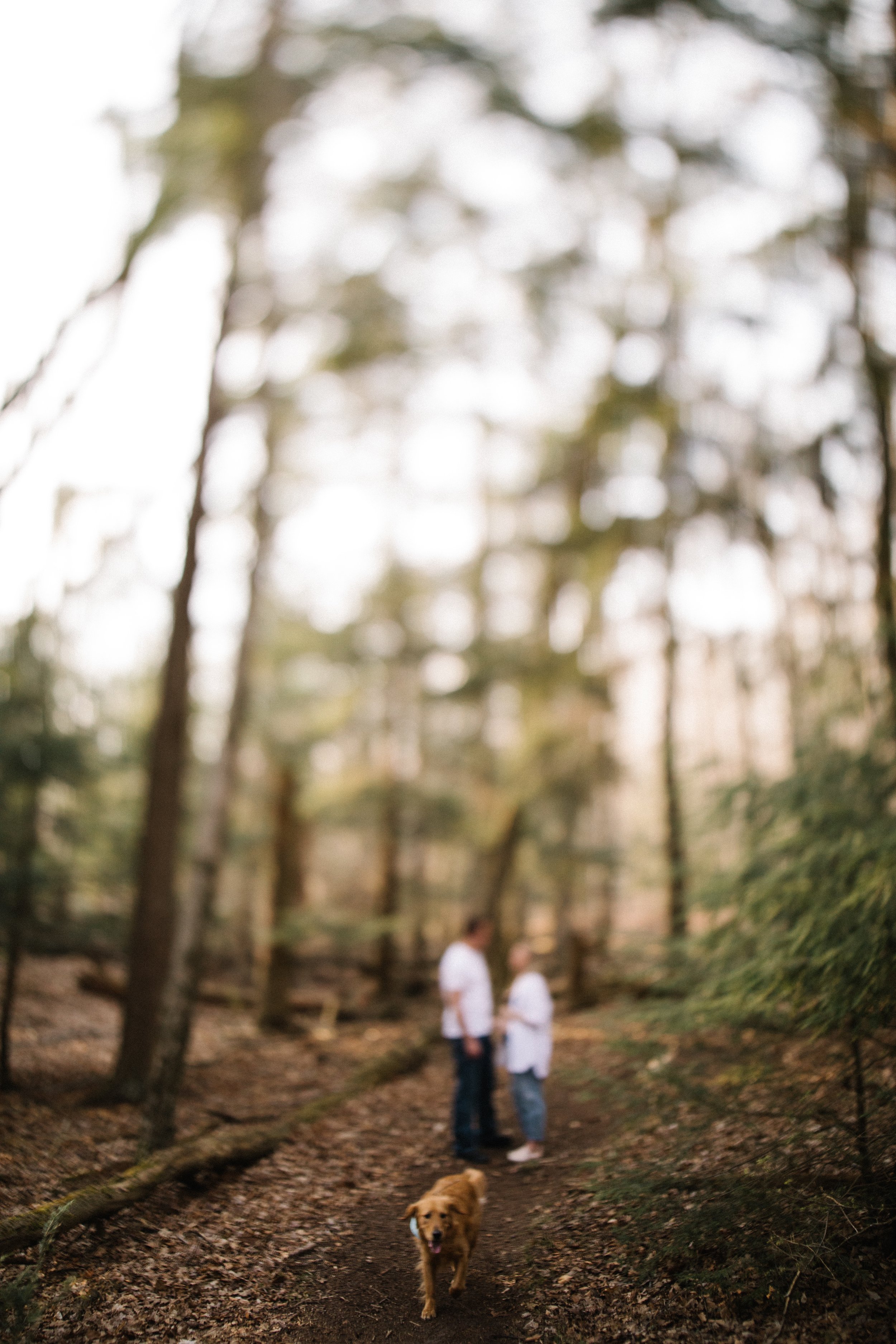 Michigan-Photographer-Ludington-maternity-session-27.jpg