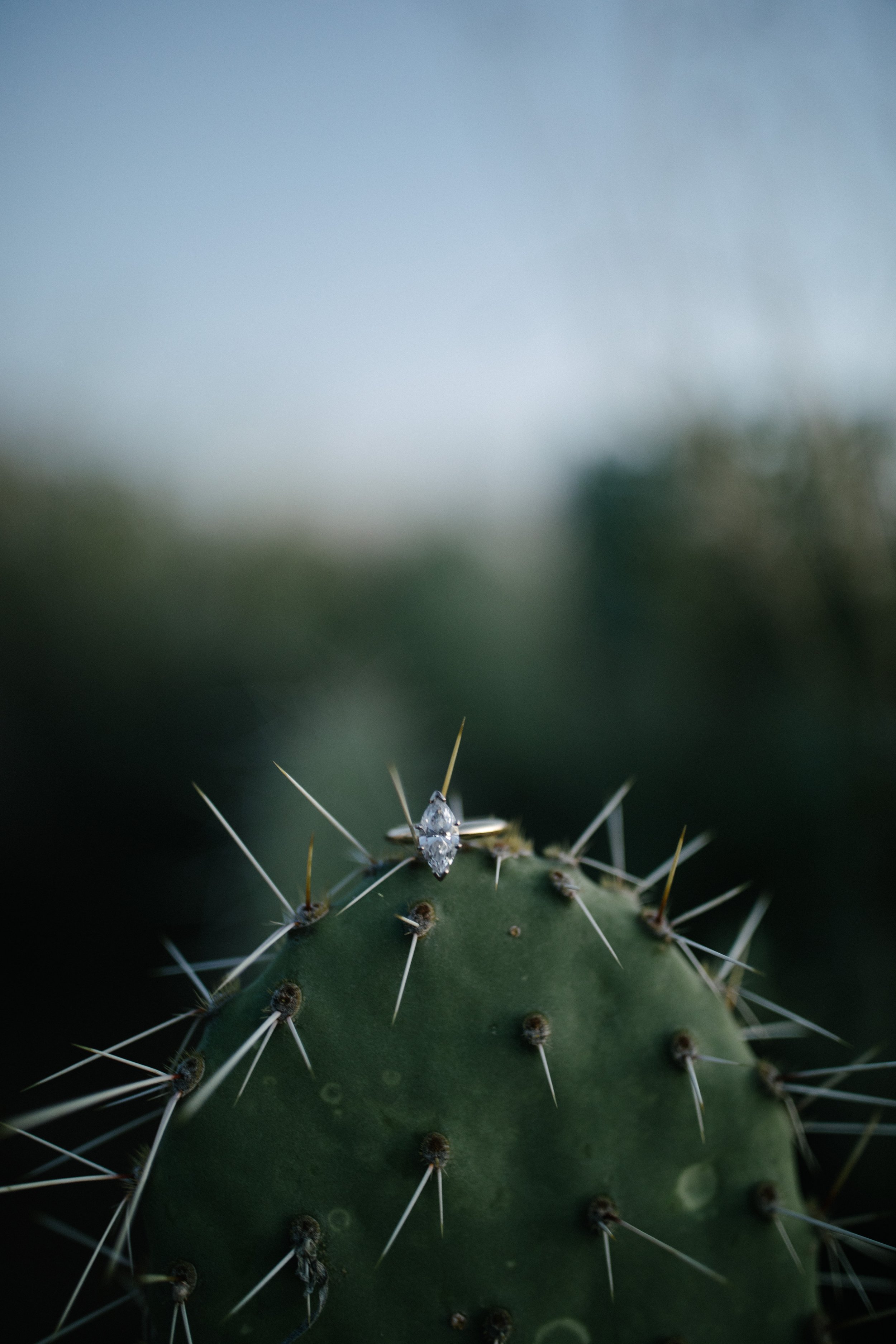 Arizona-Film-Photographer-Superstitions-Engagement-177.jpg