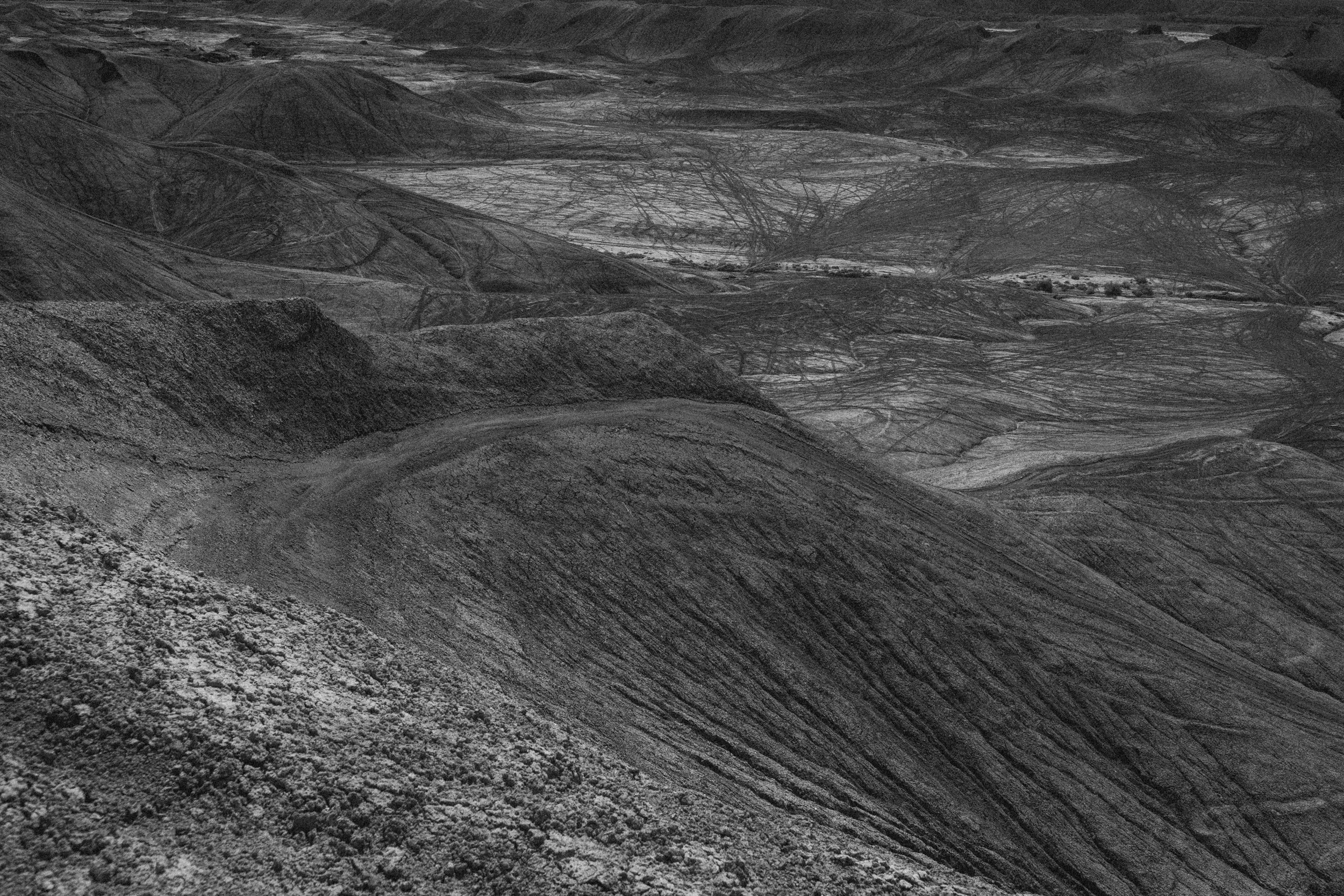 Utah-Film-Photographer-Southern-Utah-Portraits-45.jpg