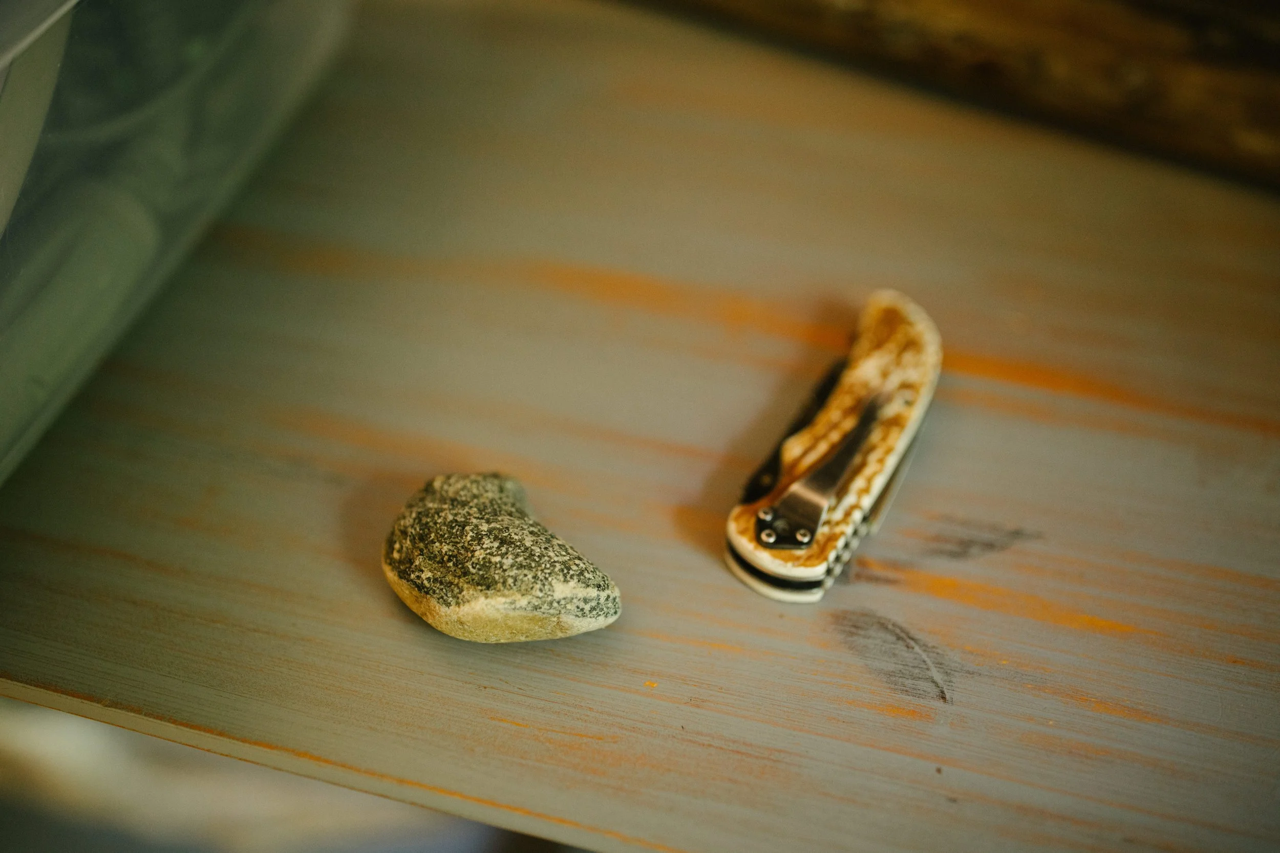 Michigan-Photographer-Empire-Elopement-86.jpg