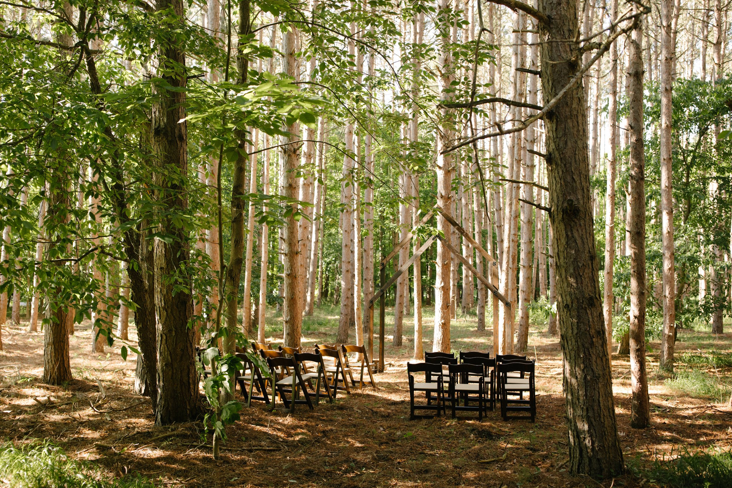 Michigan-Photographer-Empire-Elopement-100.jpg