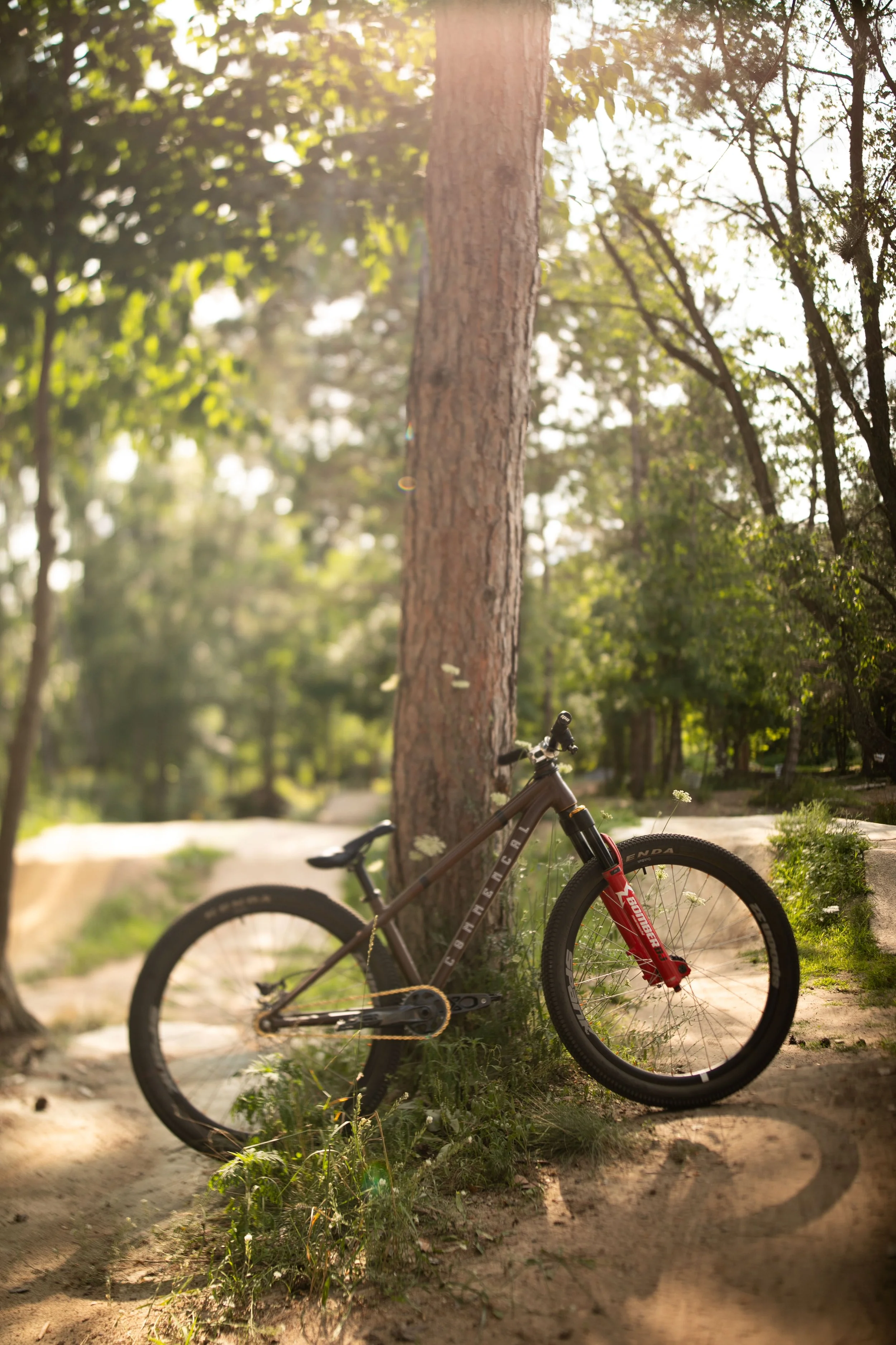 Michigan-Photographer-Reed-City-Bike-Park-13.jpg