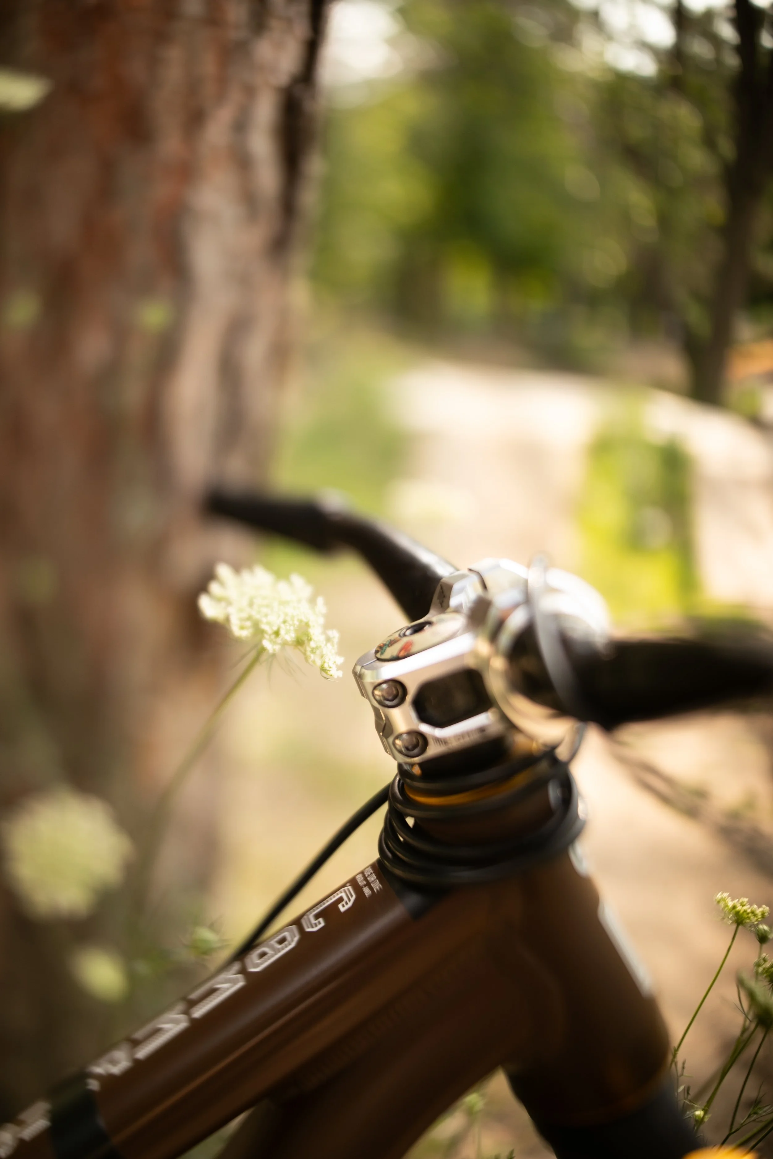 Michigan-Photographer-Reed-City-Bike-Park-16.jpg