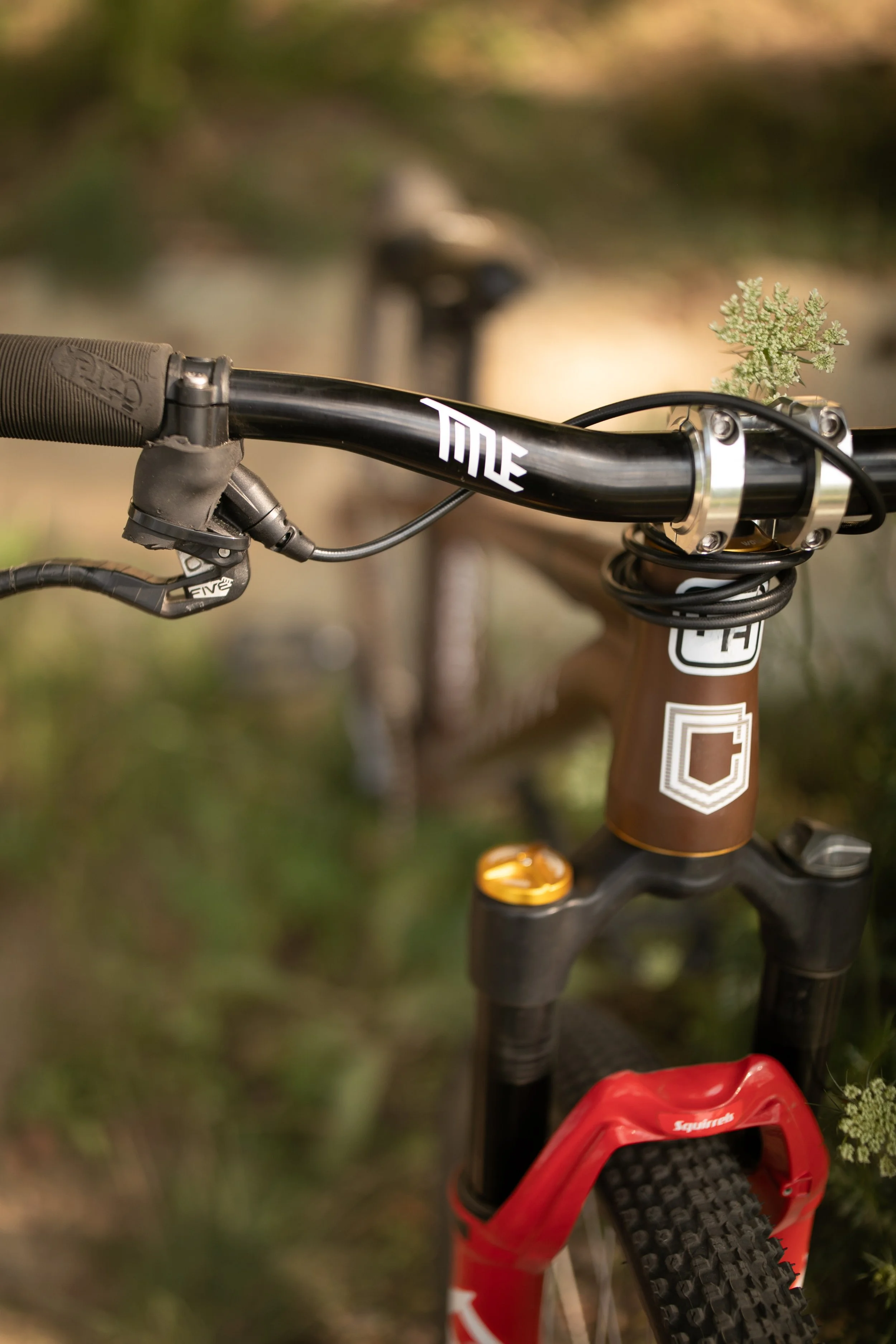 Michigan-Photographer-Reed-City-Bike-Park-19.jpg