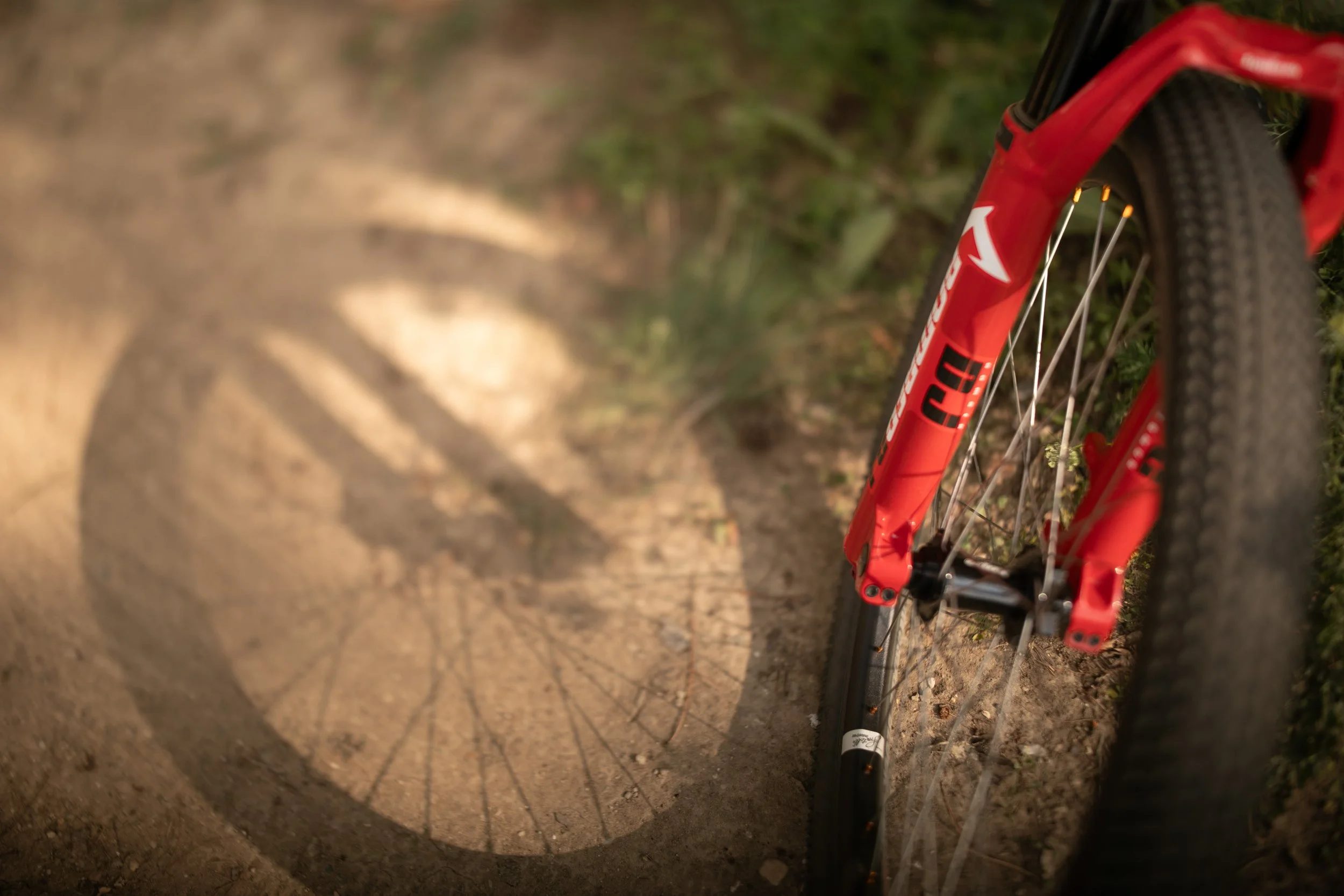 Michigan-Photographer-Reed-City-Bike-Park-20.jpg
