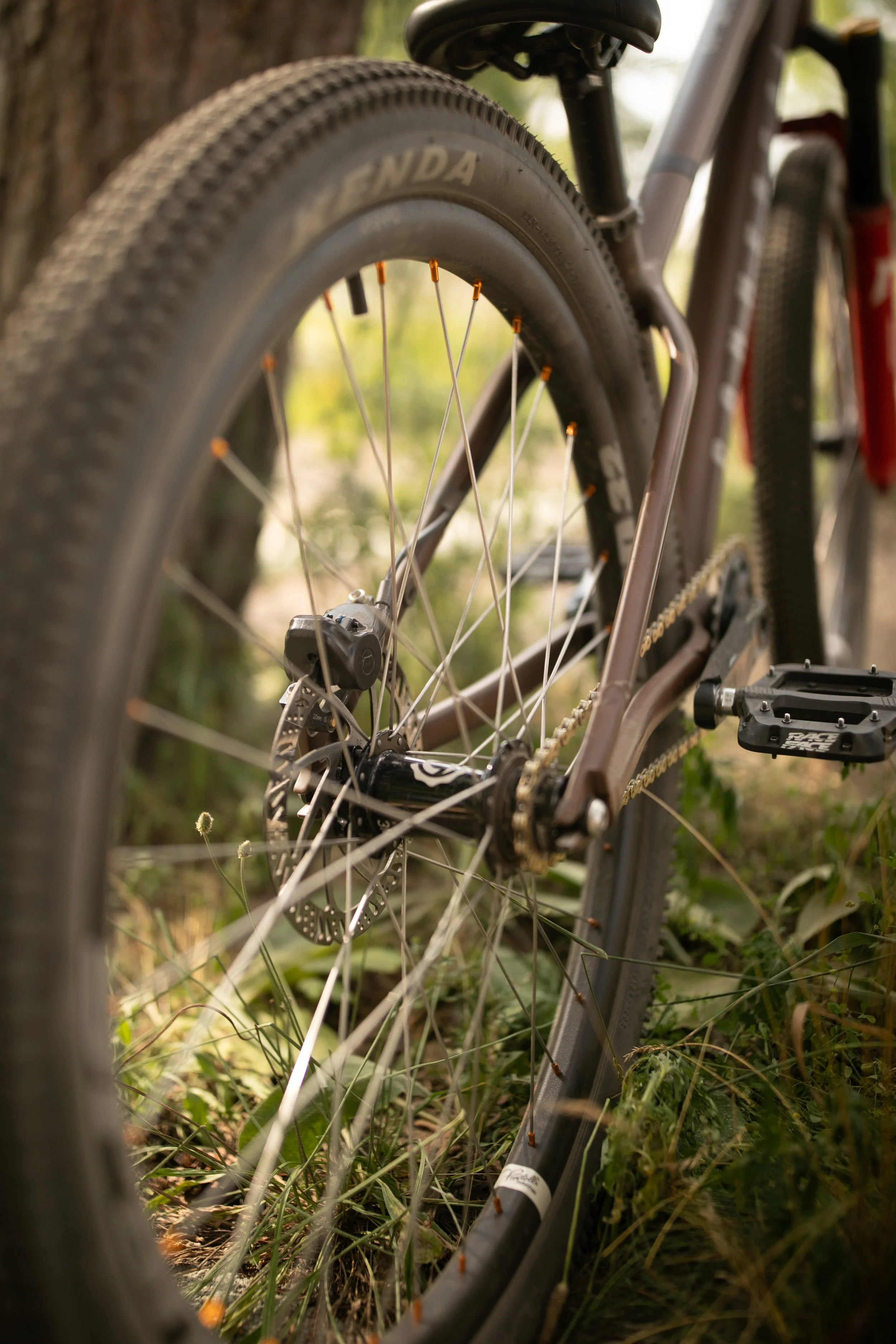 Michigan-Photographer-Reed-City-Bike-Park-26.jpg