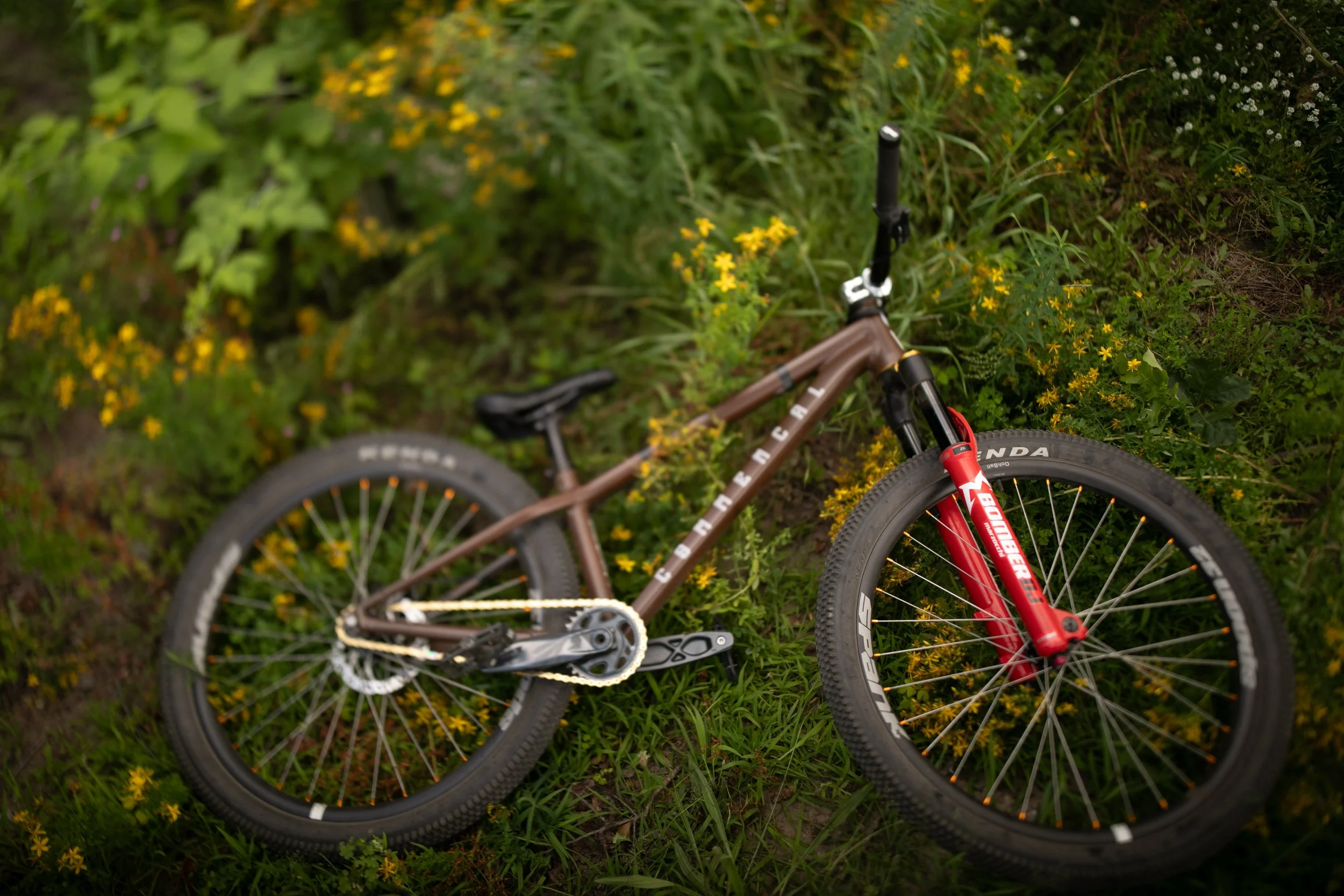 Michigan-Photographer-Reed-City-Bike-Park-43.jpg