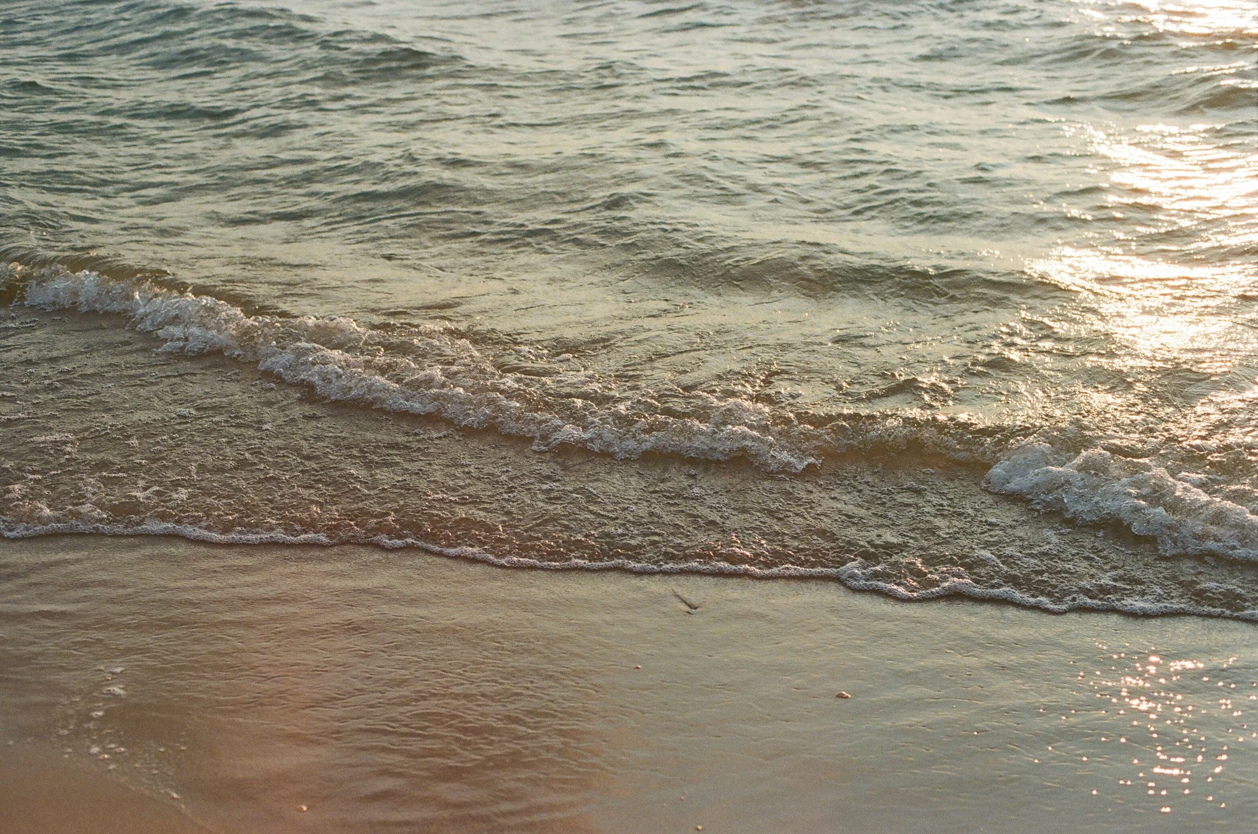 Michigan-wedding-photographer-traverse-city-film-9.jpg