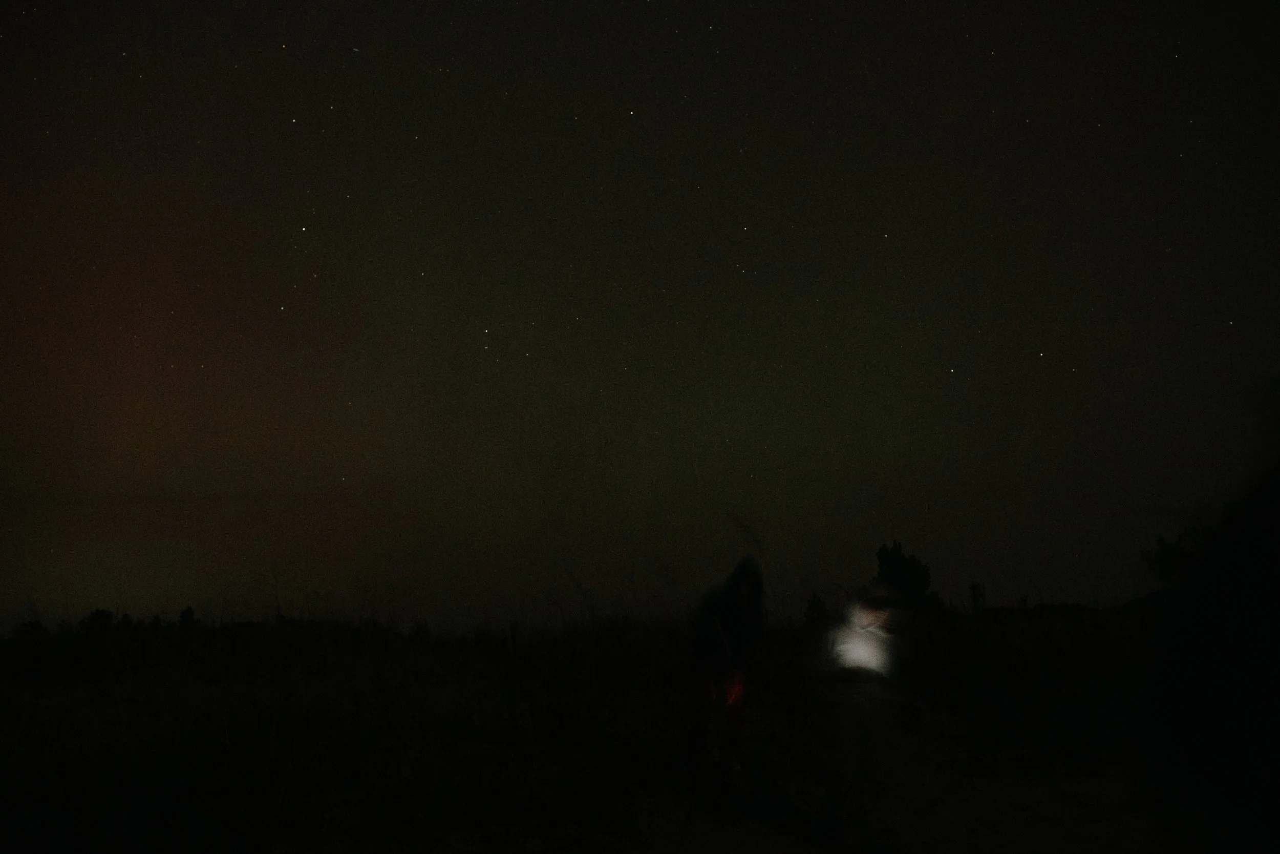 Michigan-wedding-photographer-ludington-northern-lights-4.jpg