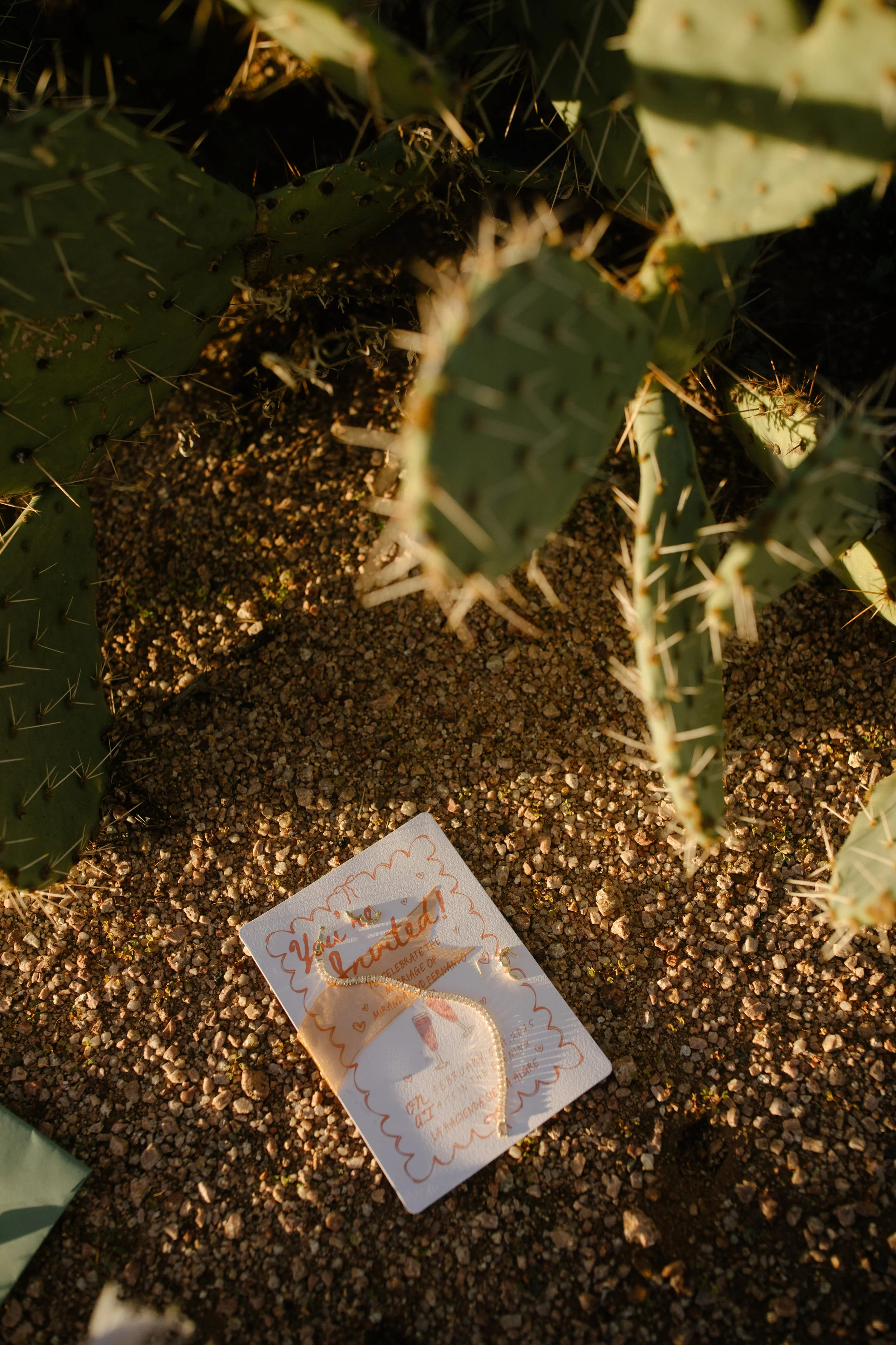 Arizona-wedding-photographer-superstitions-portrait-session-apache-junction-4.jpg