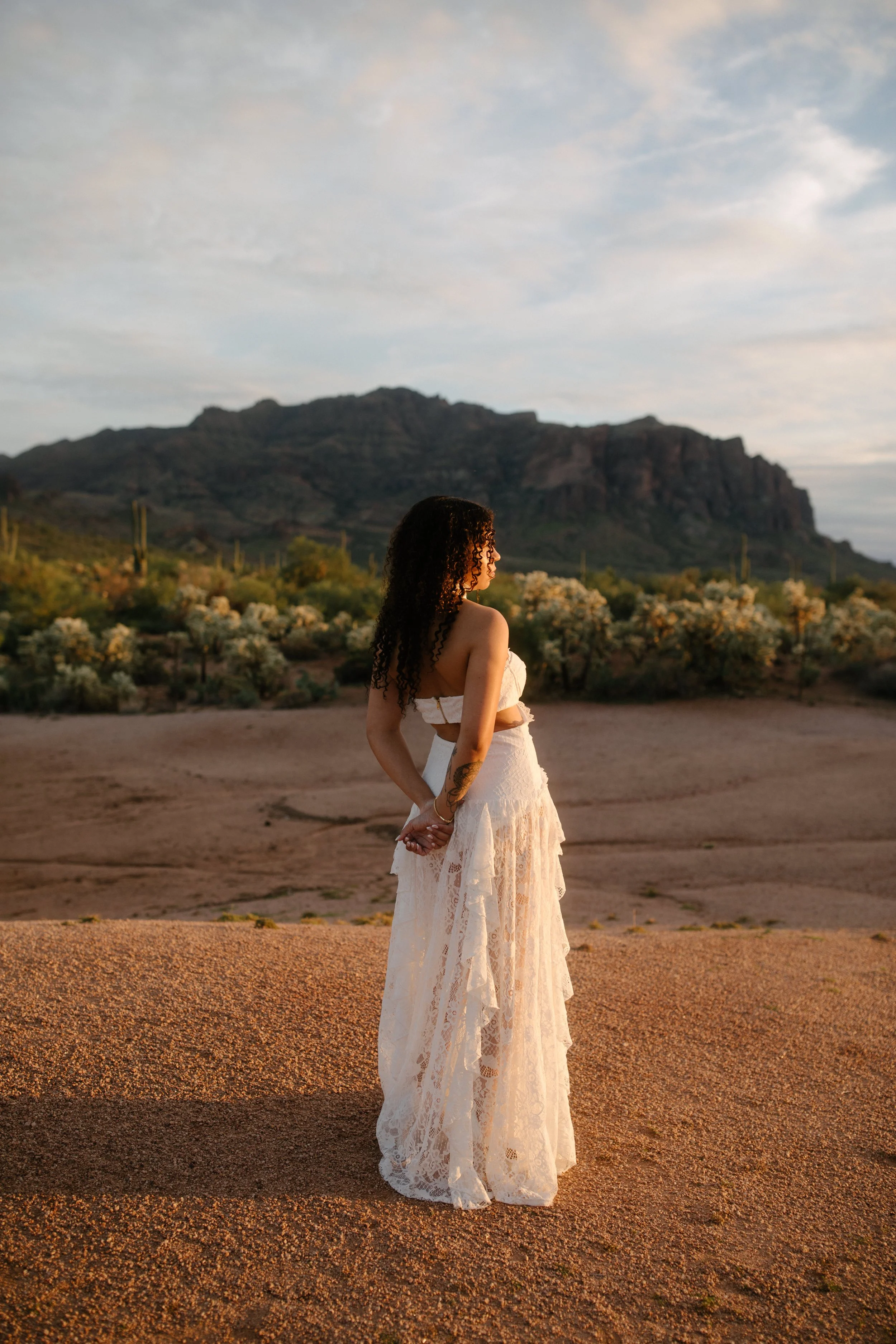 Arizona-wedding-photographer-superstitions-portrait-session-apache-junction-44.jpg