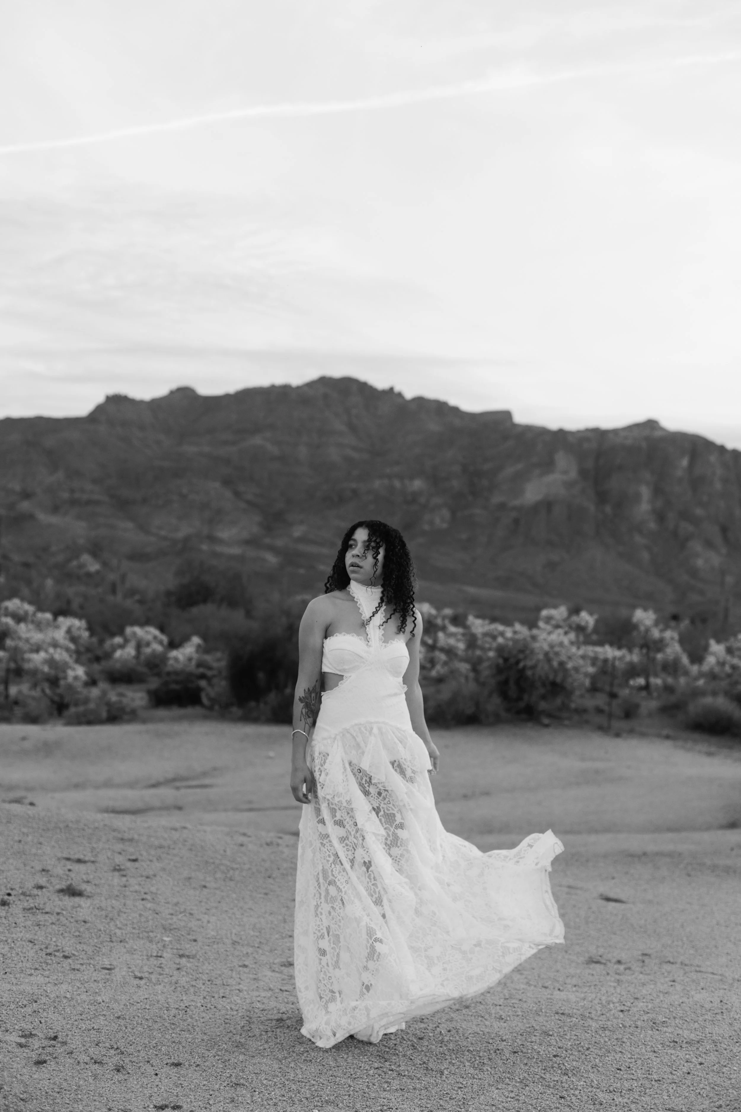 Arizona-wedding-photographer-superstitions-portrait-session-apache-junction-69.jpg