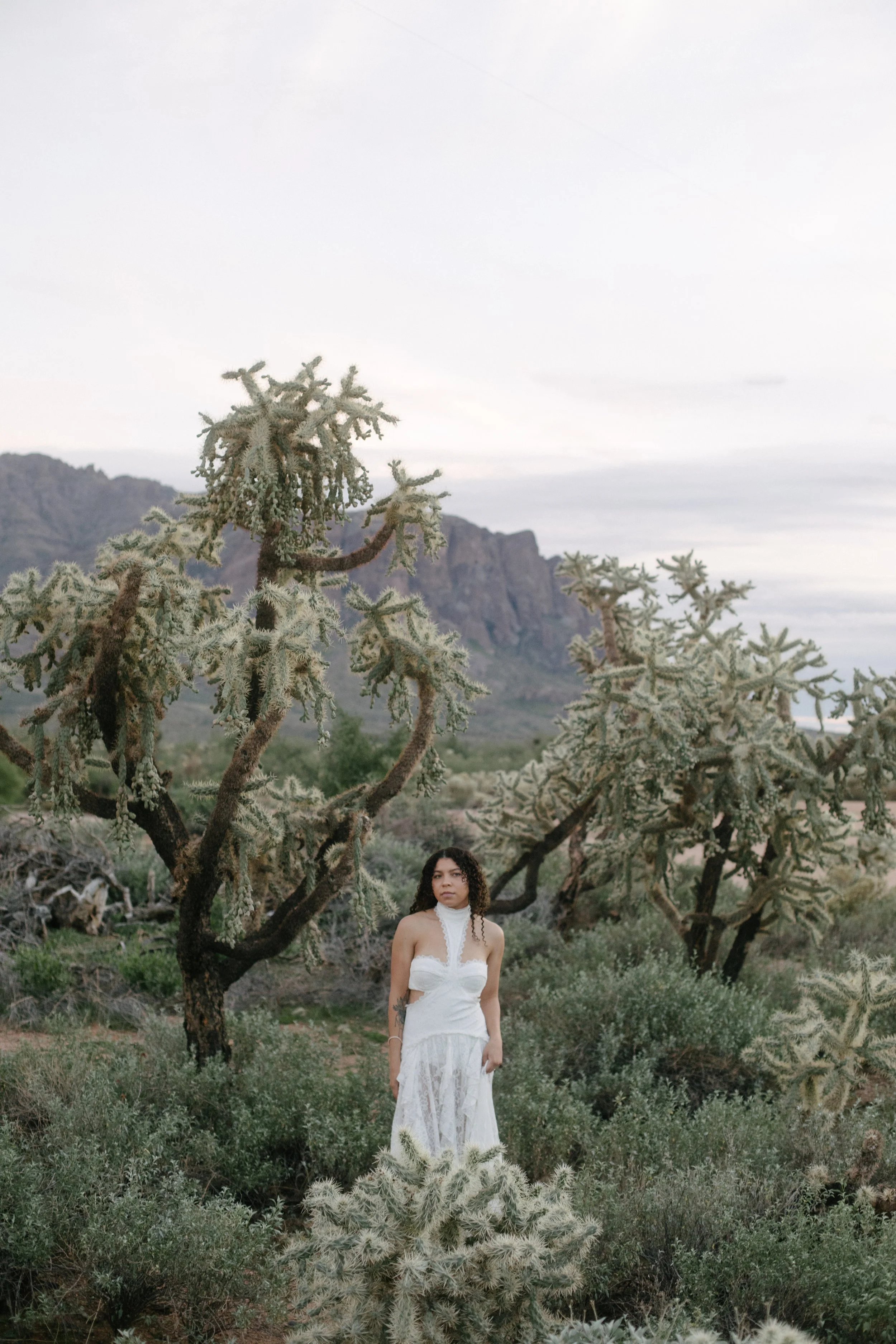 Arizona-wedding-photographer-superstitions-portrait-session-apache-junction-80.jpg