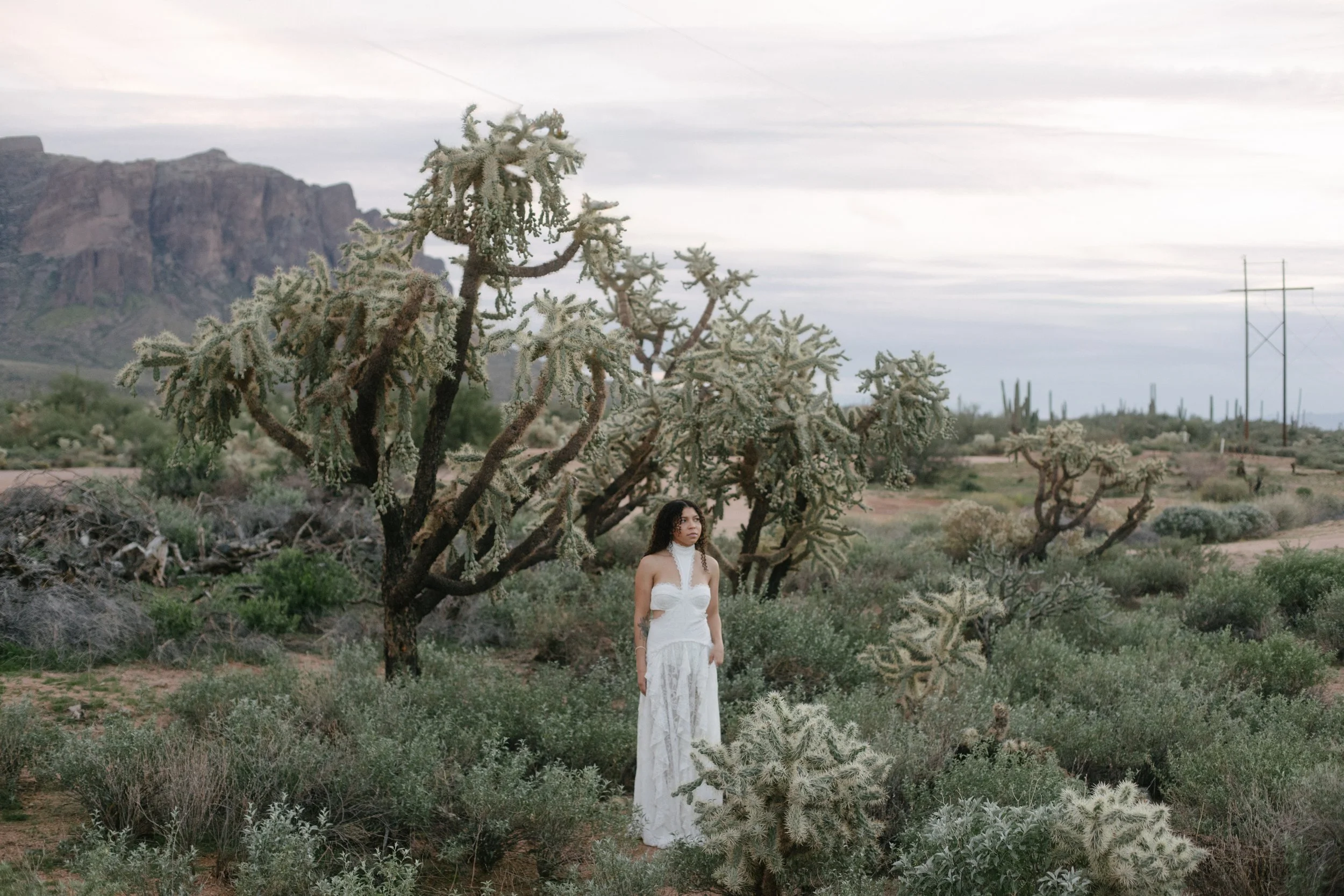 Arizona-wedding-photographer-superstitions-portrait-session-apache-junction-81.jpg