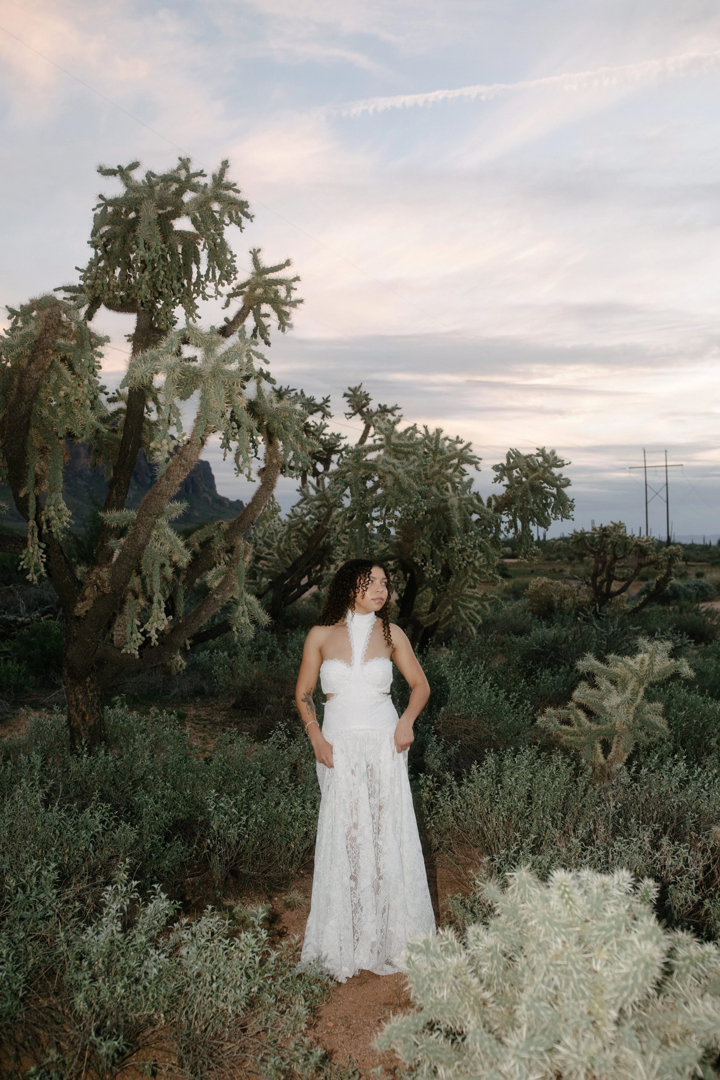 Arizona-wedding-photographer-superstitions-portrait-session-apache-junction-83.jpg