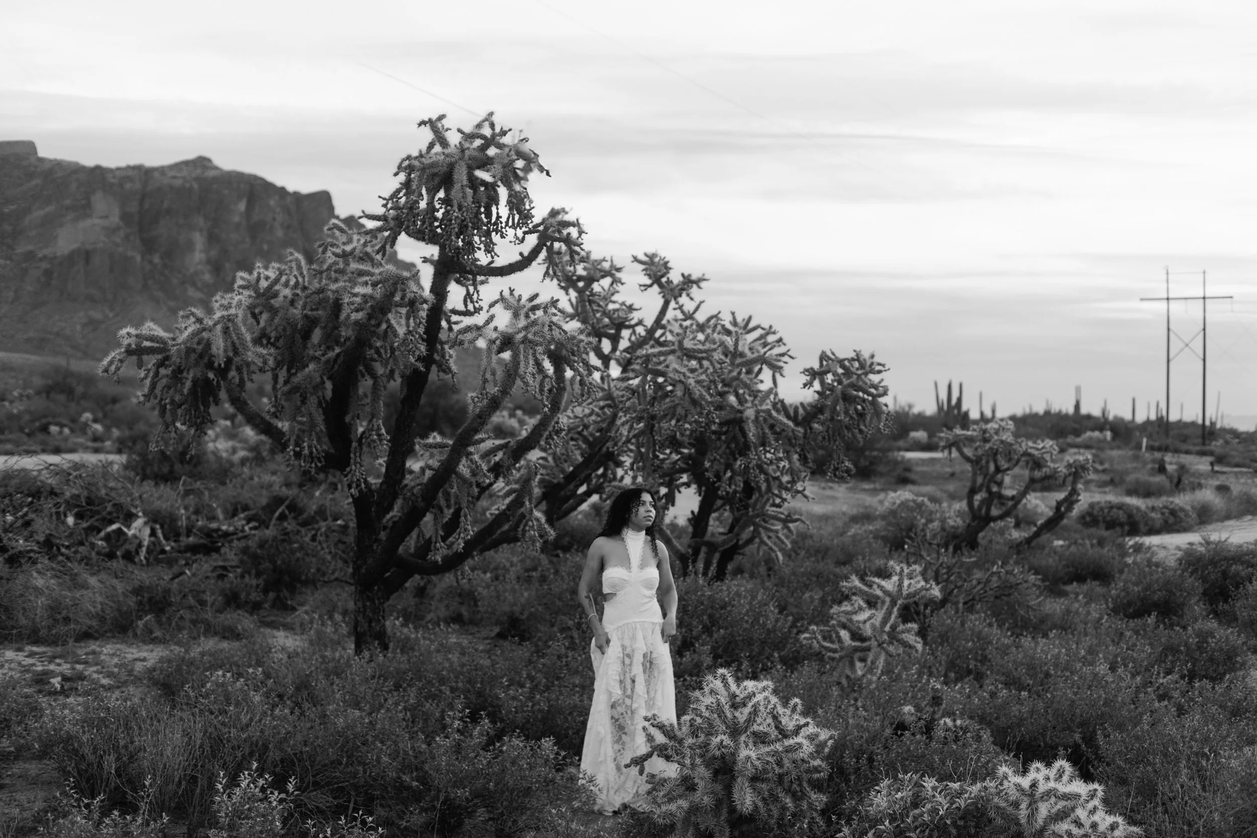 Arizona-wedding-photographer-superstitions-portrait-session-apache-junction-82.jpg