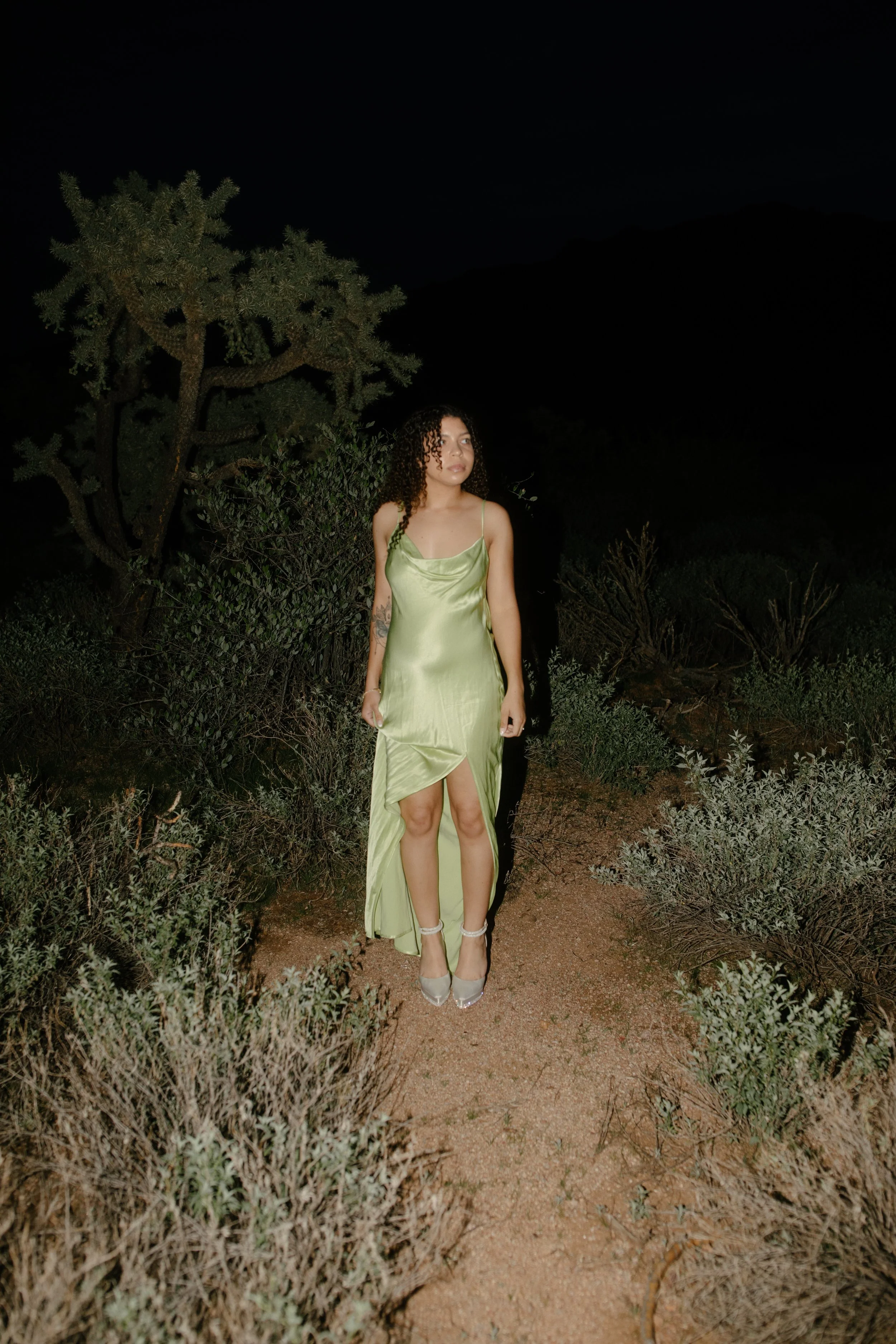 Arizona-wedding-photographer-superstitions-portrait-session-apache-junction-106.jpg