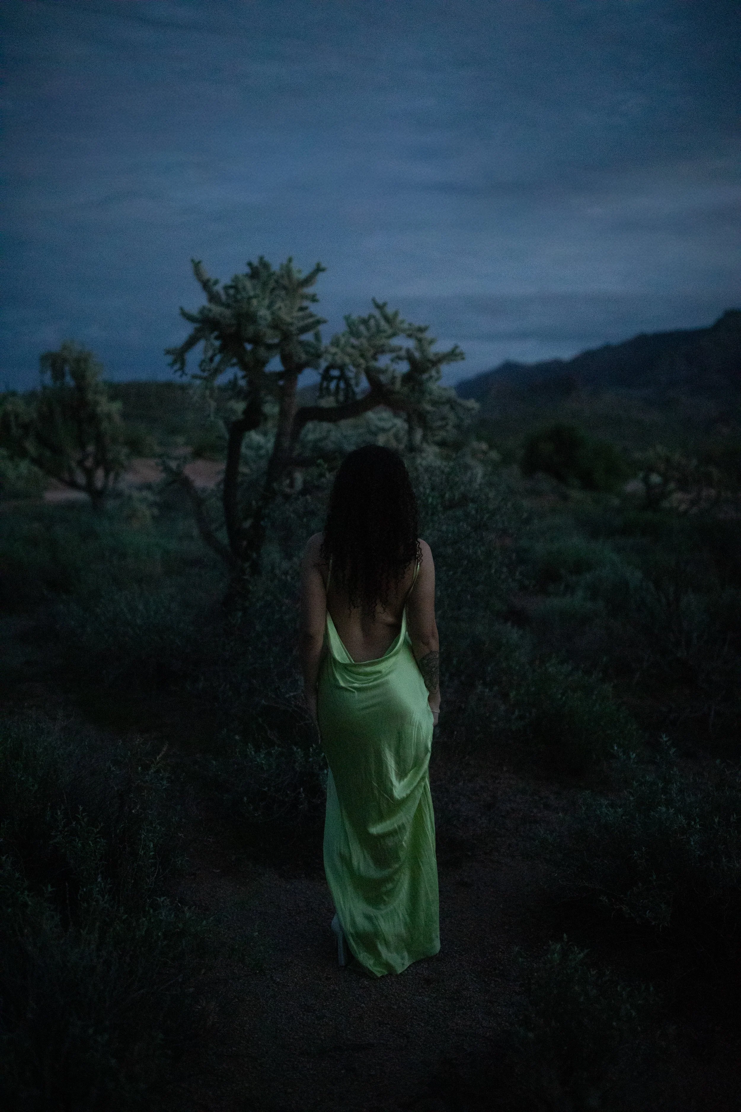 Arizona-wedding-photographer-superstitions-portrait-session-apache-junction-120.jpg