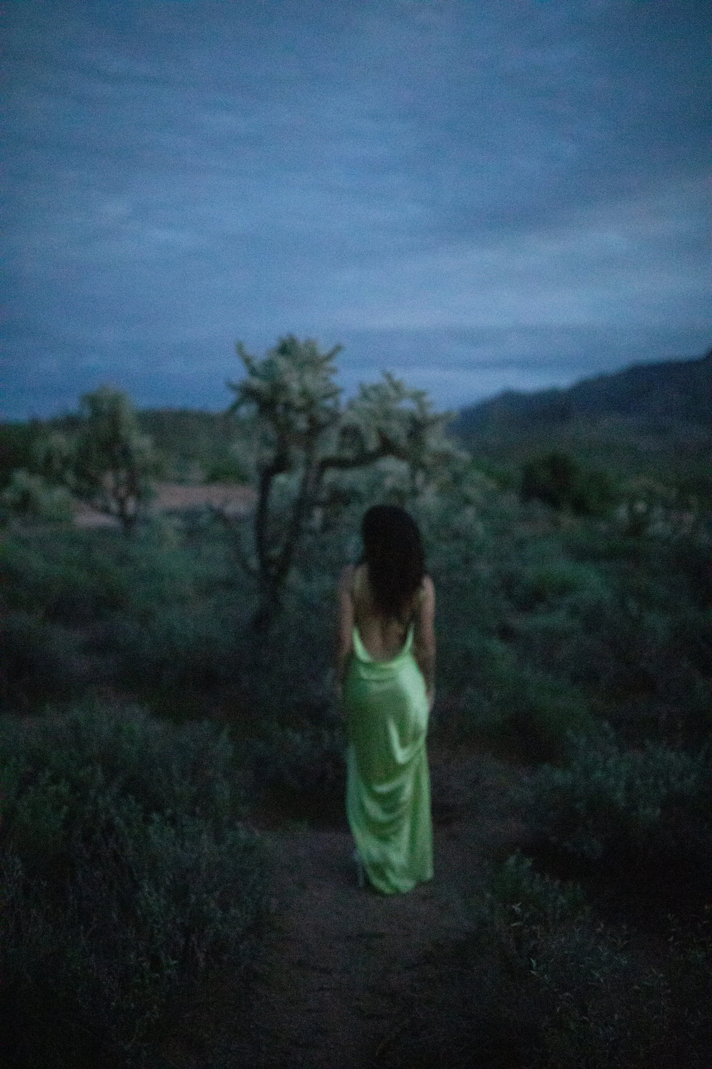 Arizona-wedding-photographer-superstitions-portrait-session-apache-junction-121.jpg