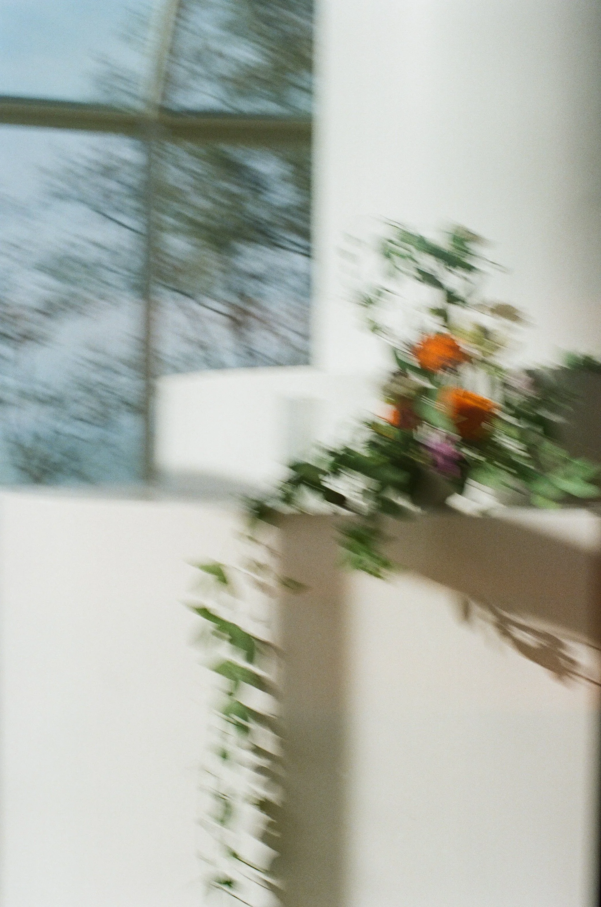 Michigan-wedding-photographer-film-wedding-gathering-properties-18.jpg