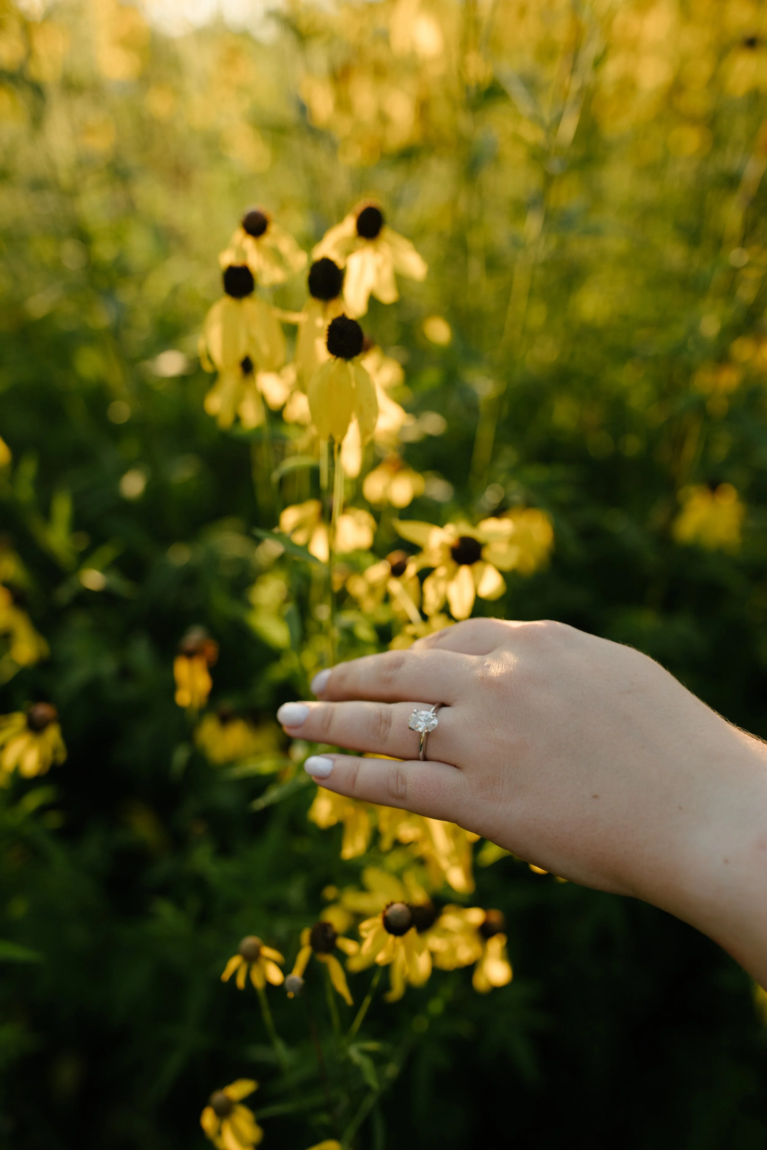 Michigan-photographer-west-ann-arbor-engagement-session-47.jpg