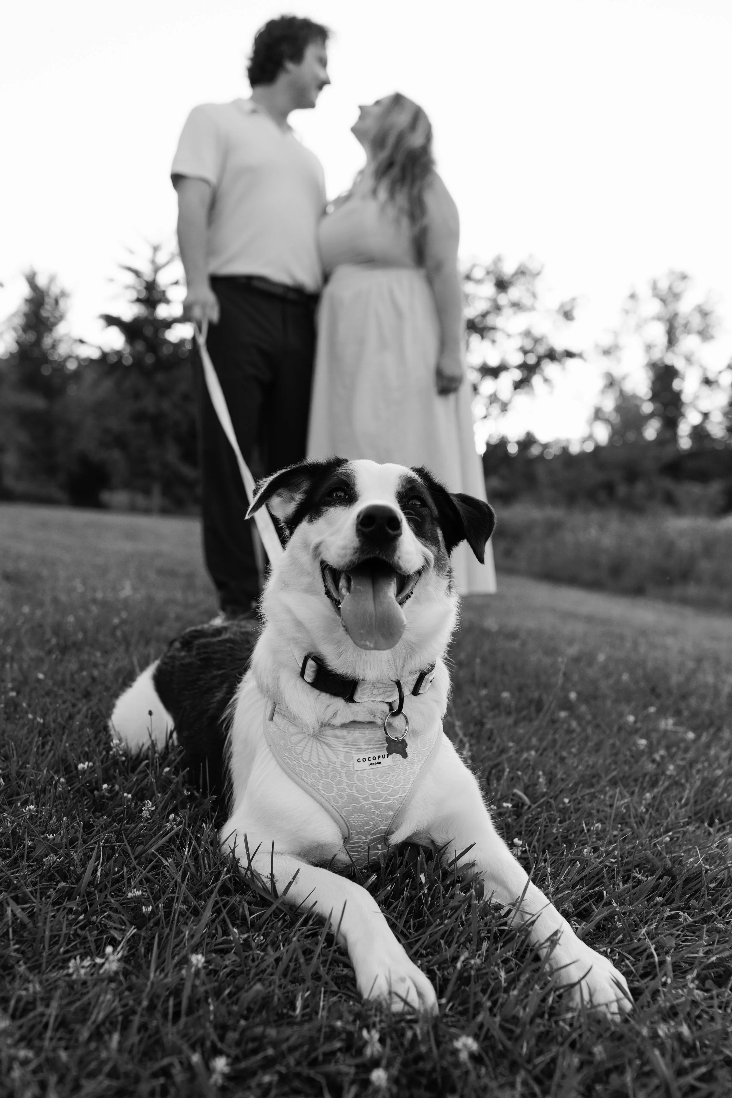 Michigan-photographer-west-ann-arbor-engagement-session-79.jpg