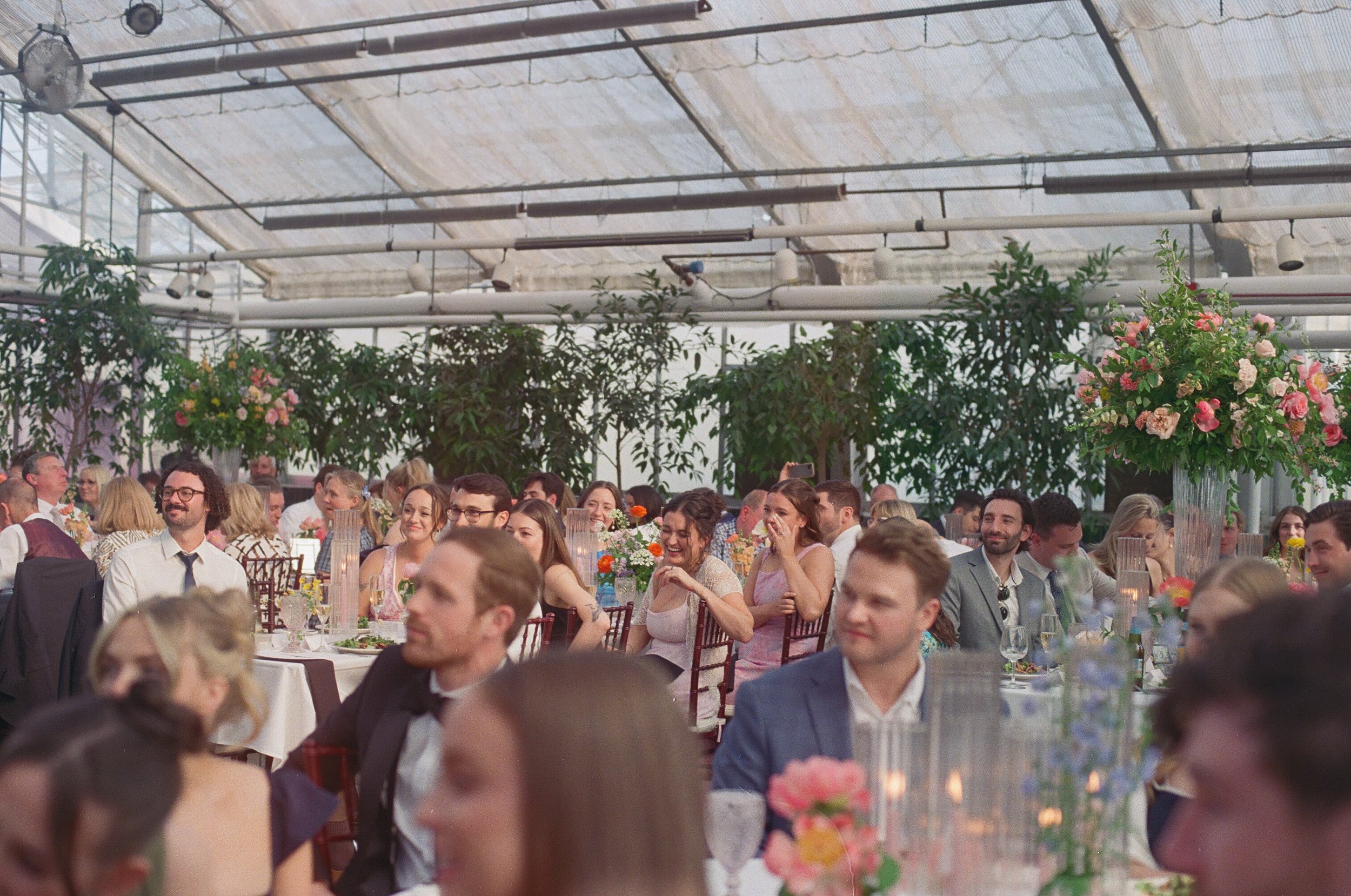 Michigan-film-photographer-MSU-horticulture-gardens-wedding-64.jpg