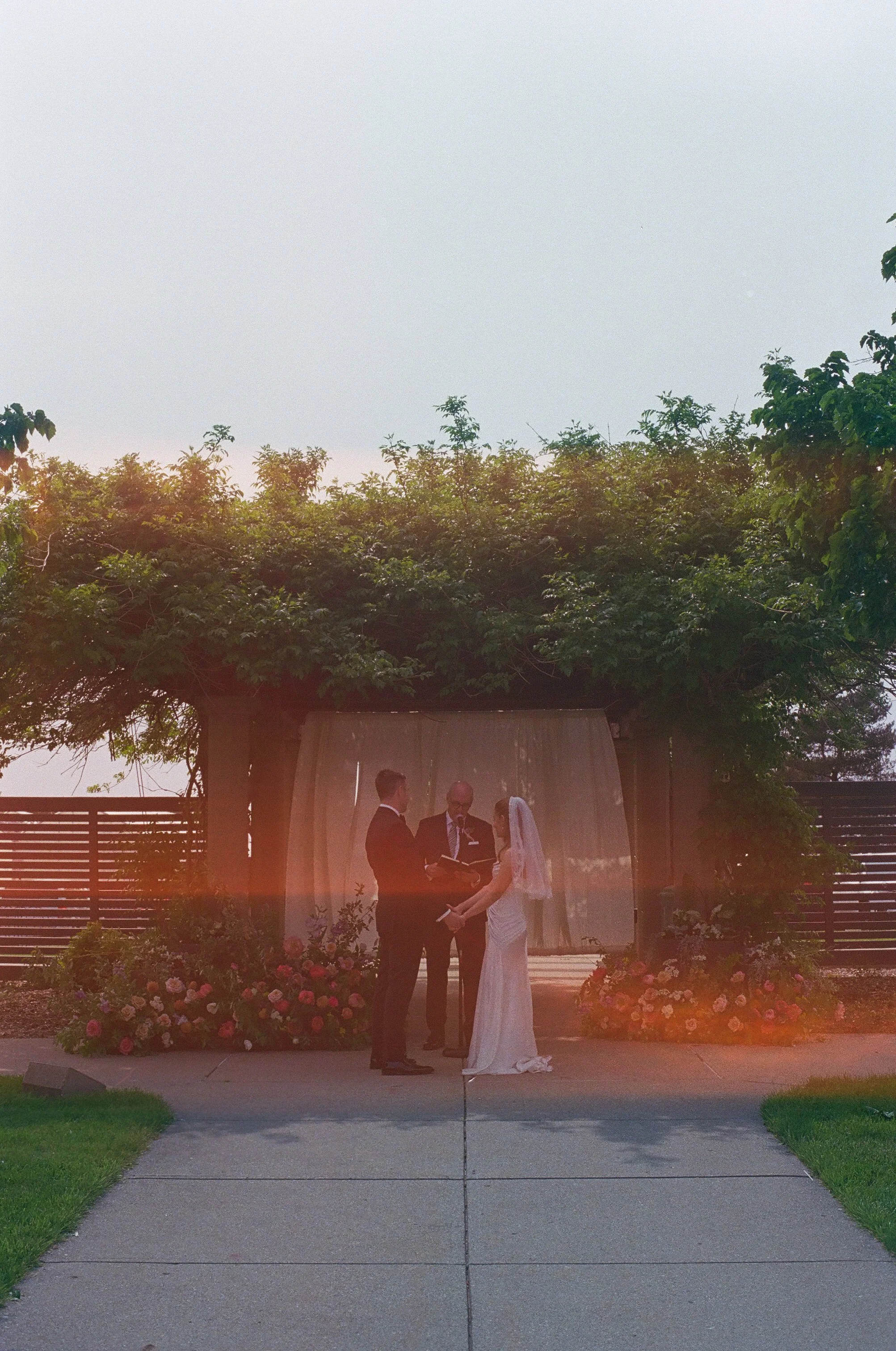 Michigan-film-photographer-MSU-horticulture-gardens-wedding-85.jpg