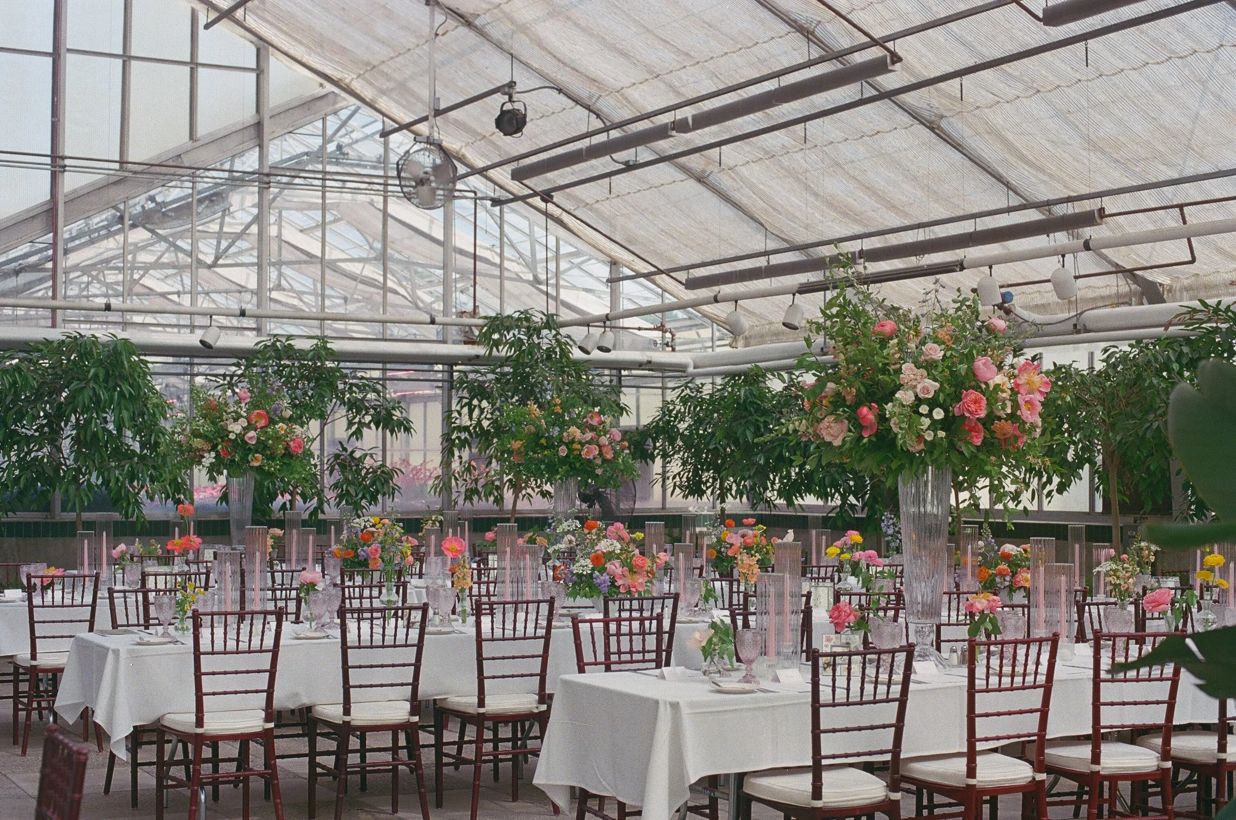 Michigan-film-photographer-MSU-horticulture-gardens-wedding-92.jpg