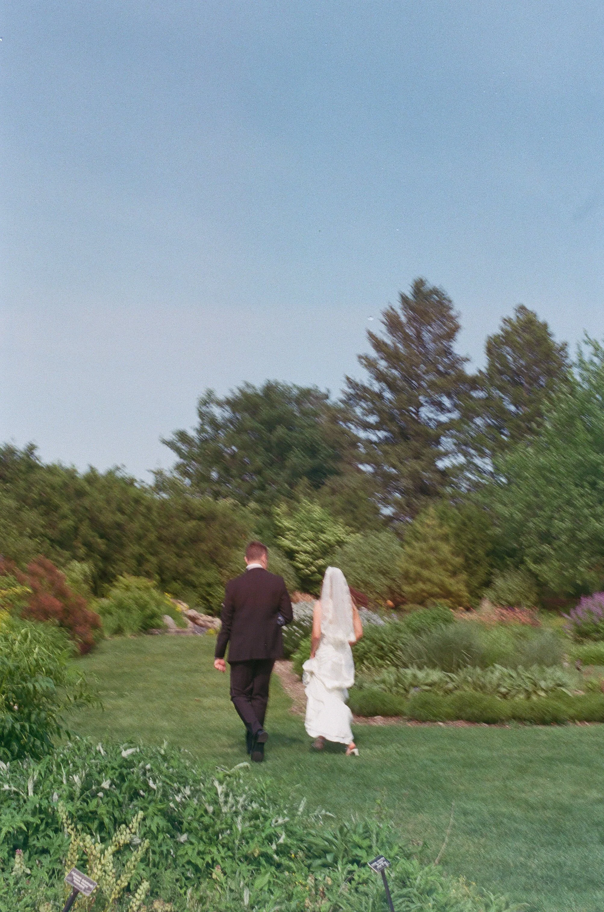 Michigan-film-photographer-MSU-horticulture-gardens-wedding-83.jpg