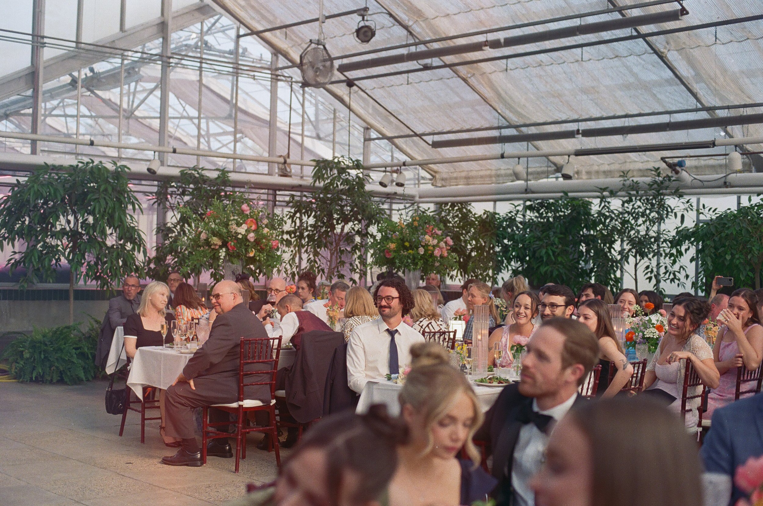 Michigan-film-photographer-MSU-horticulture-gardens-wedding-56.jpg