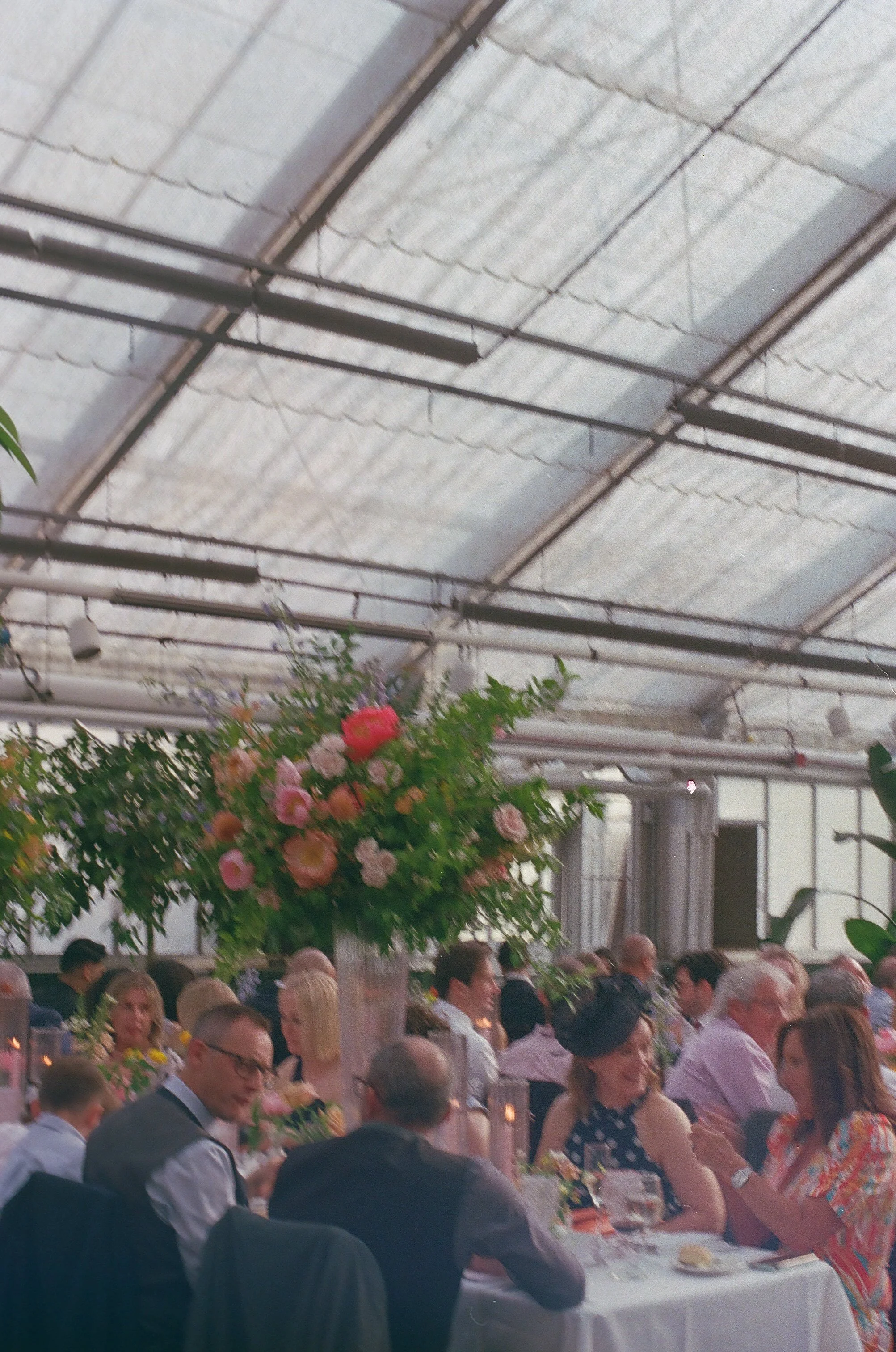 Michigan-film-photographer-MSU-horticulture-gardens-wedding-61.jpg