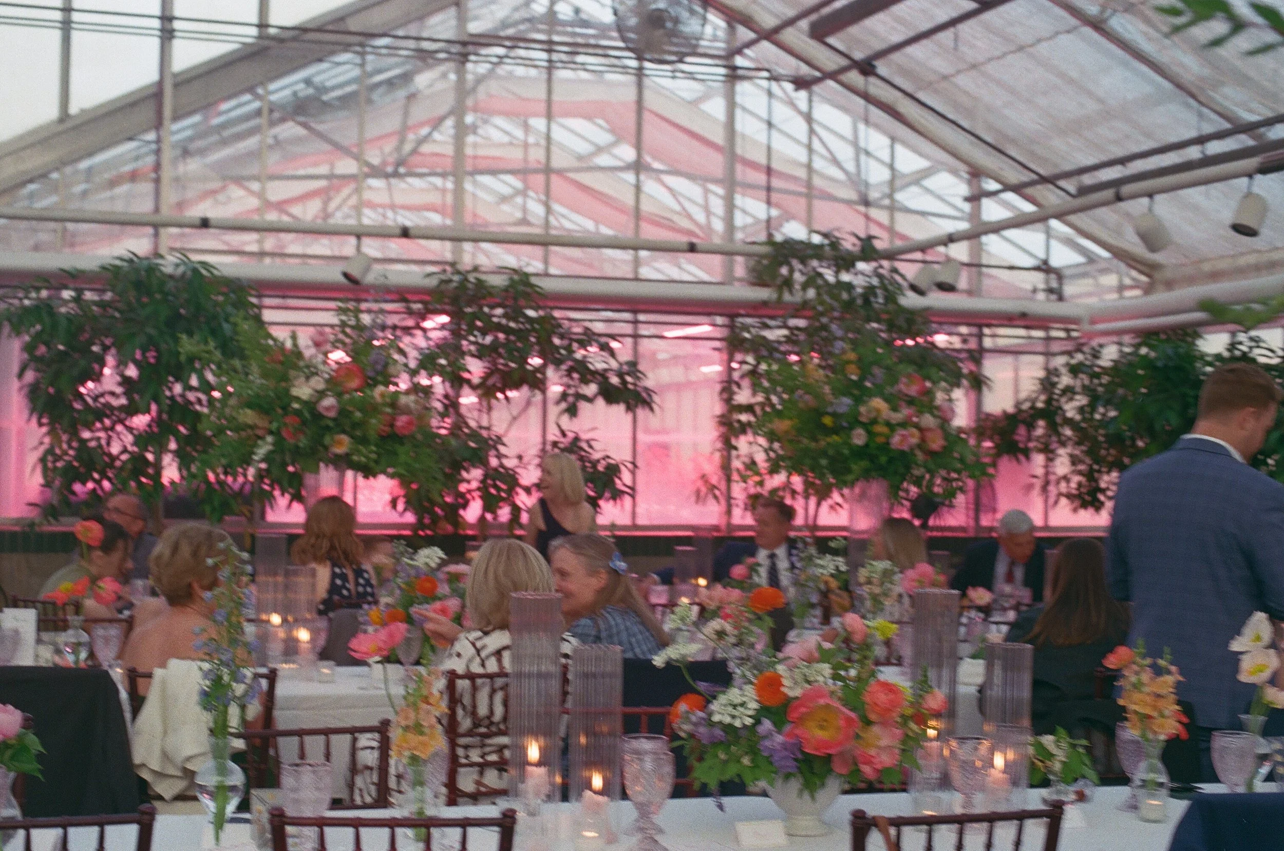 Reagan &amp; Michael // Garden party wedding on film