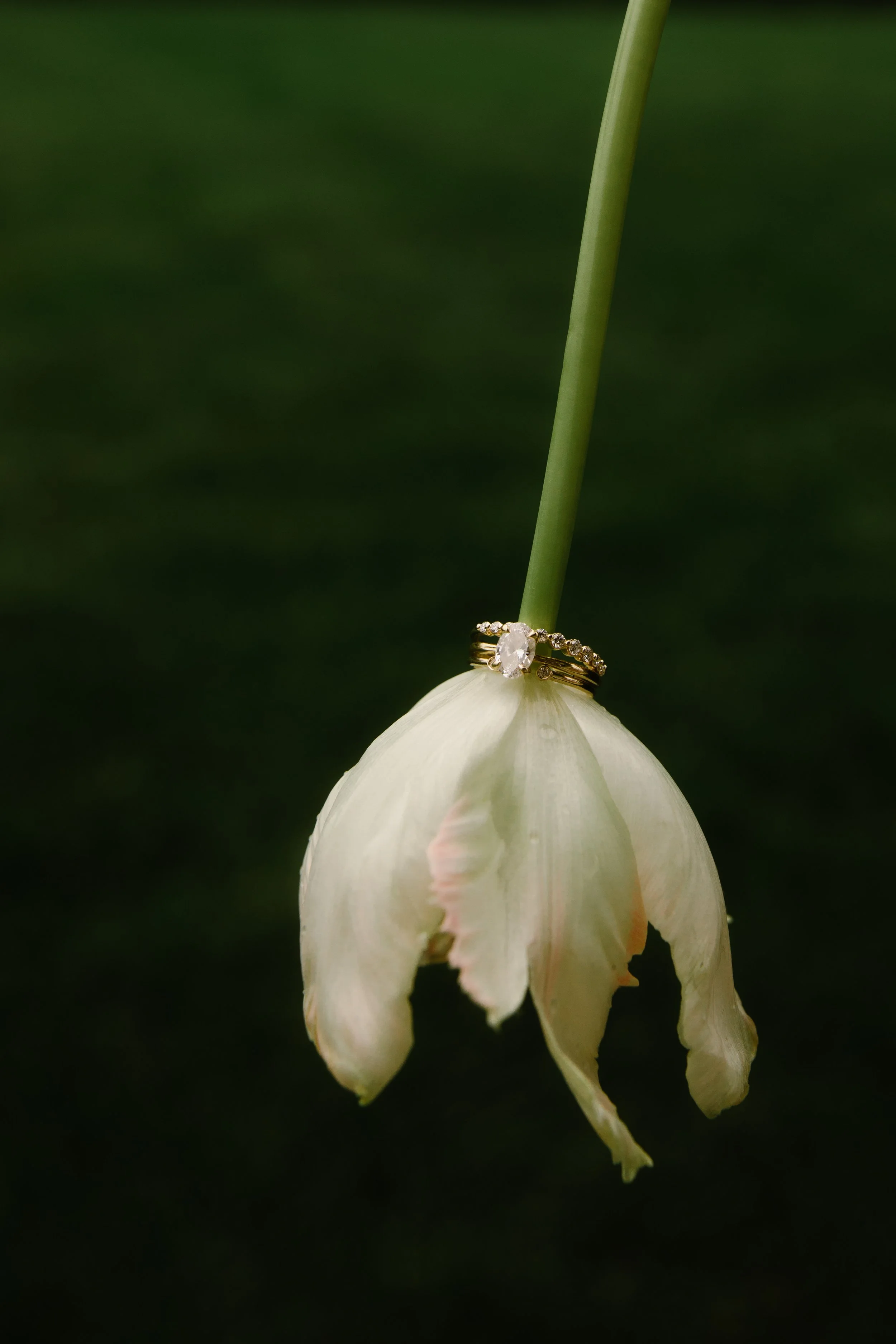 JessicaMax-west-michigan-wedding-photographer-the-cox-ranch-documentary-wedding-4.jpg
