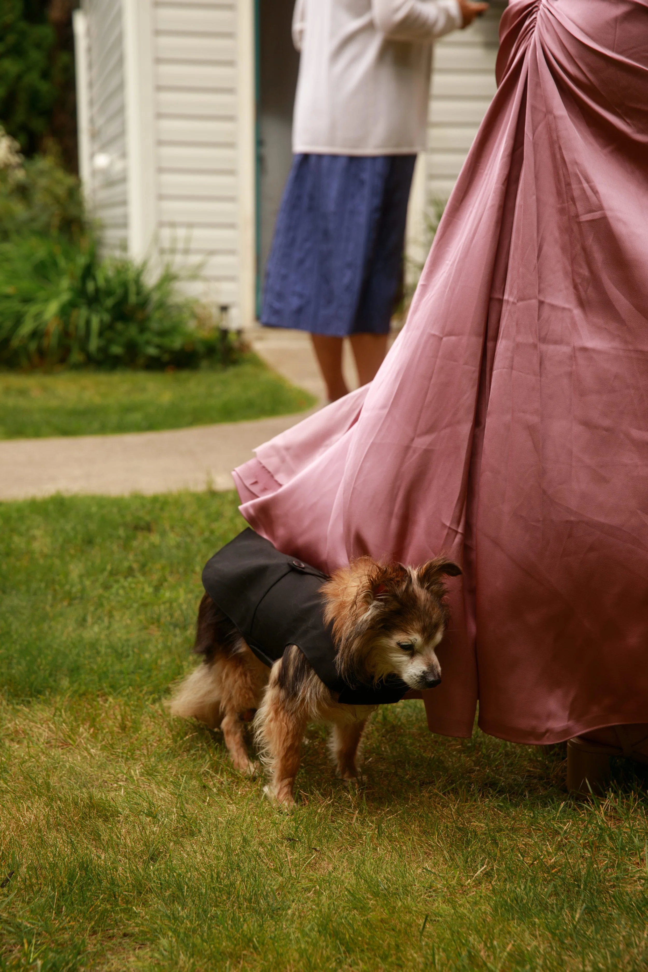 JessicaMax-northern-michigan-wedding-photographer-sault-ste-marie-backyard-wedding-st-marys-river-mi-upper-peninsula-136.jpg
