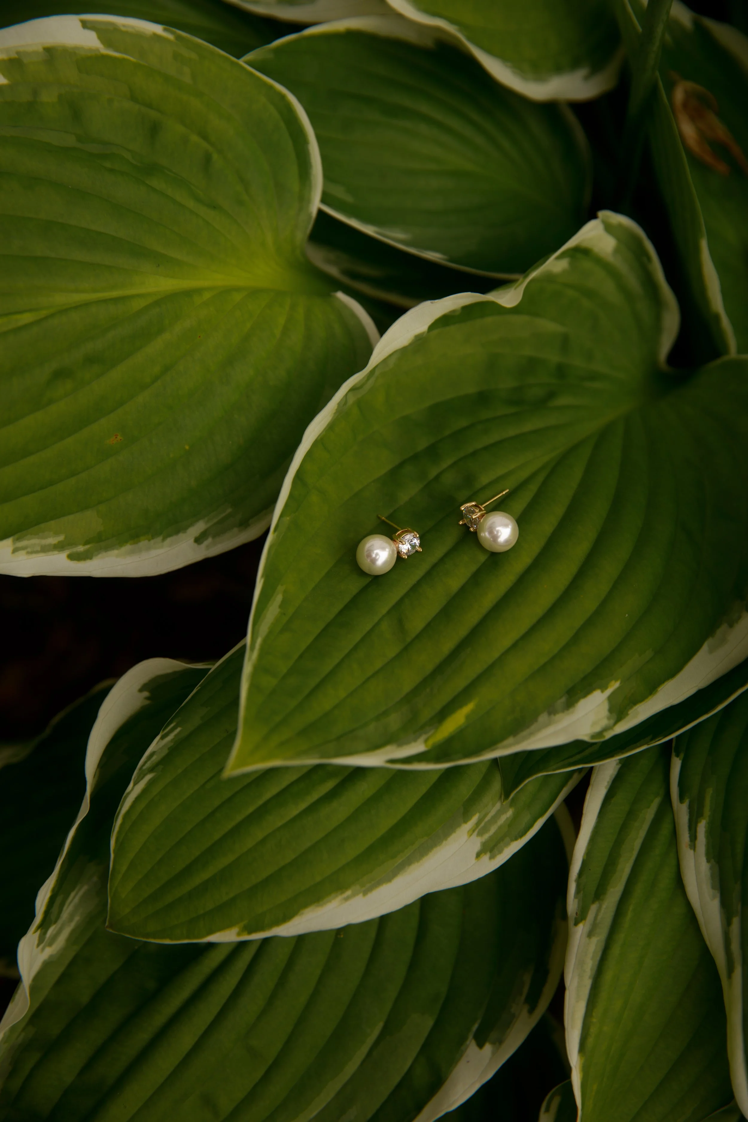 JessicaMax-northern-michigan-wedding-photographer-perry-hotel-petoskey-summer-wedding-day-2.jpg
