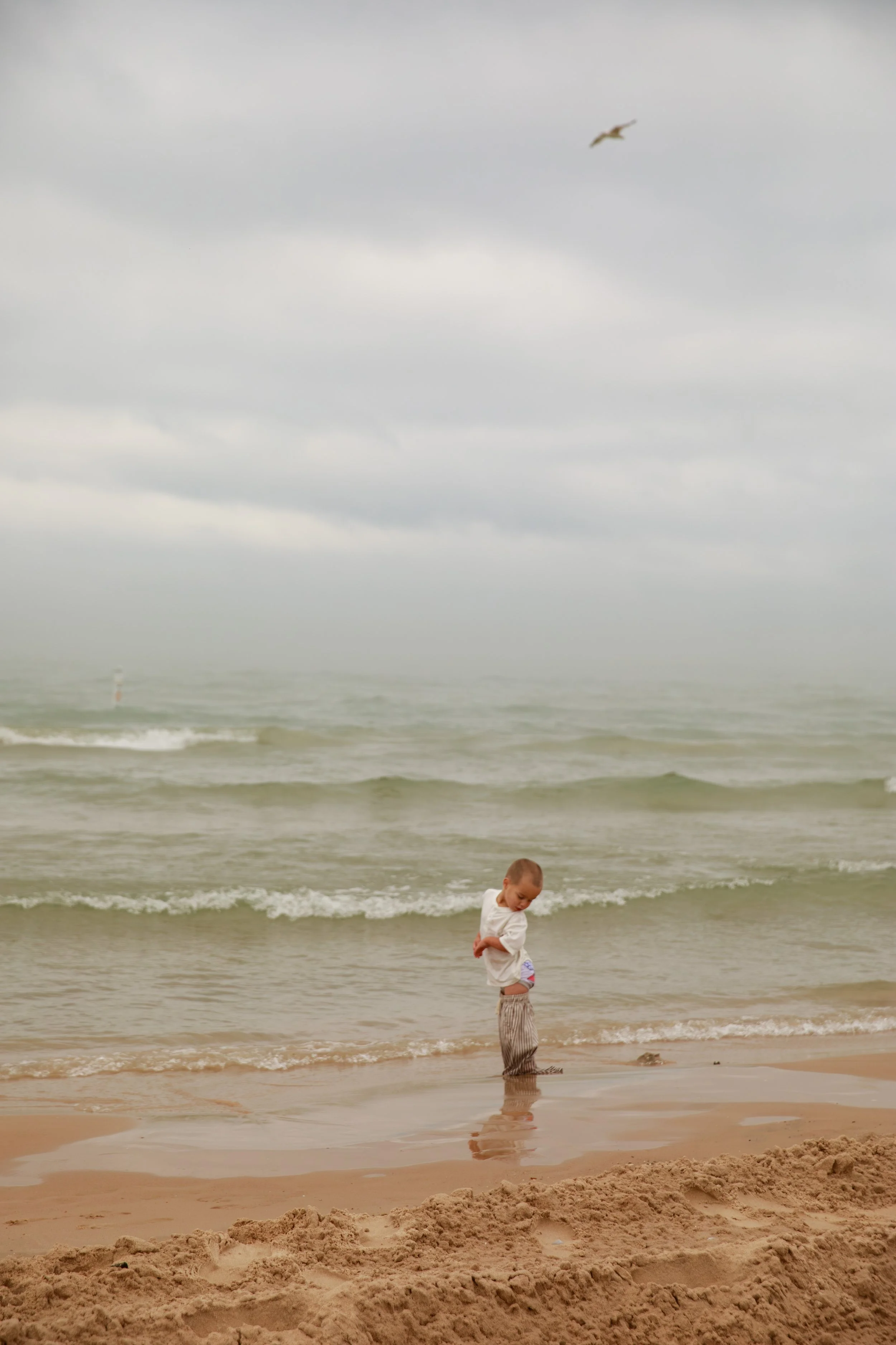 JessicaMax-michigan-family-photographer-pentwater-extended-family-session-documentary-sunrise-315.jpg