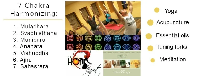 Chakra Harmonizer Workshop