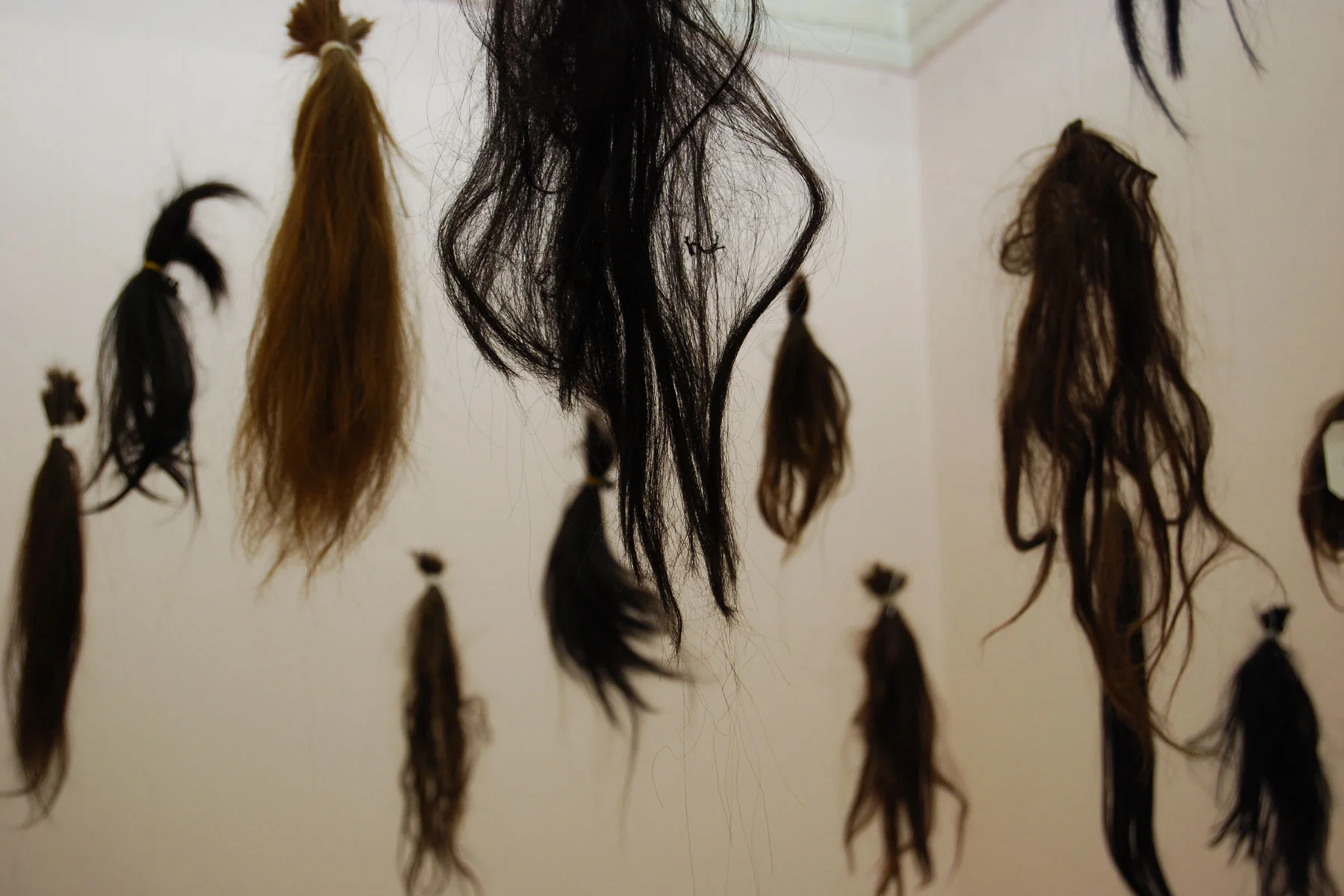 pinsky-vienna-wig_2.jpg