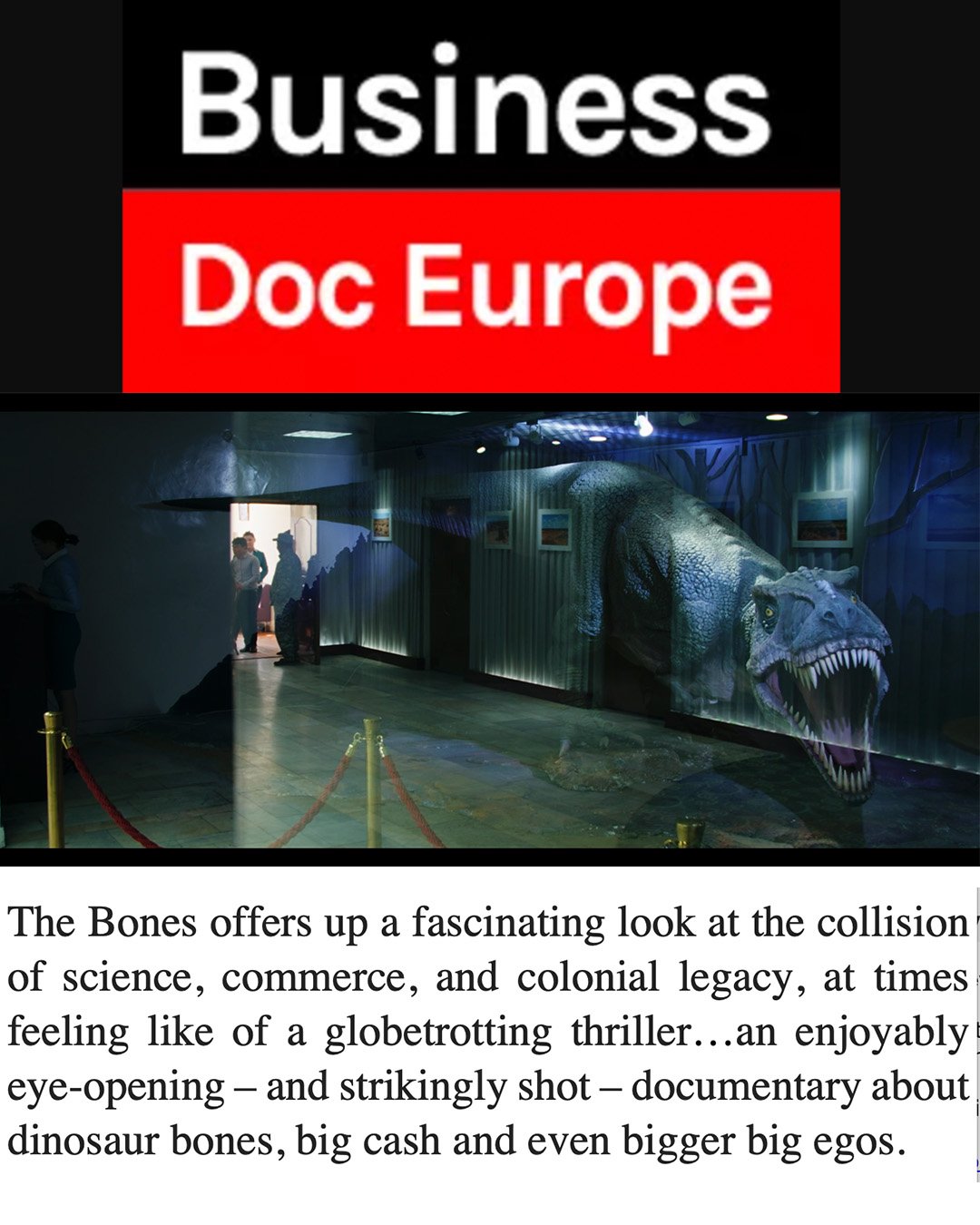 business doc europe review.jpg