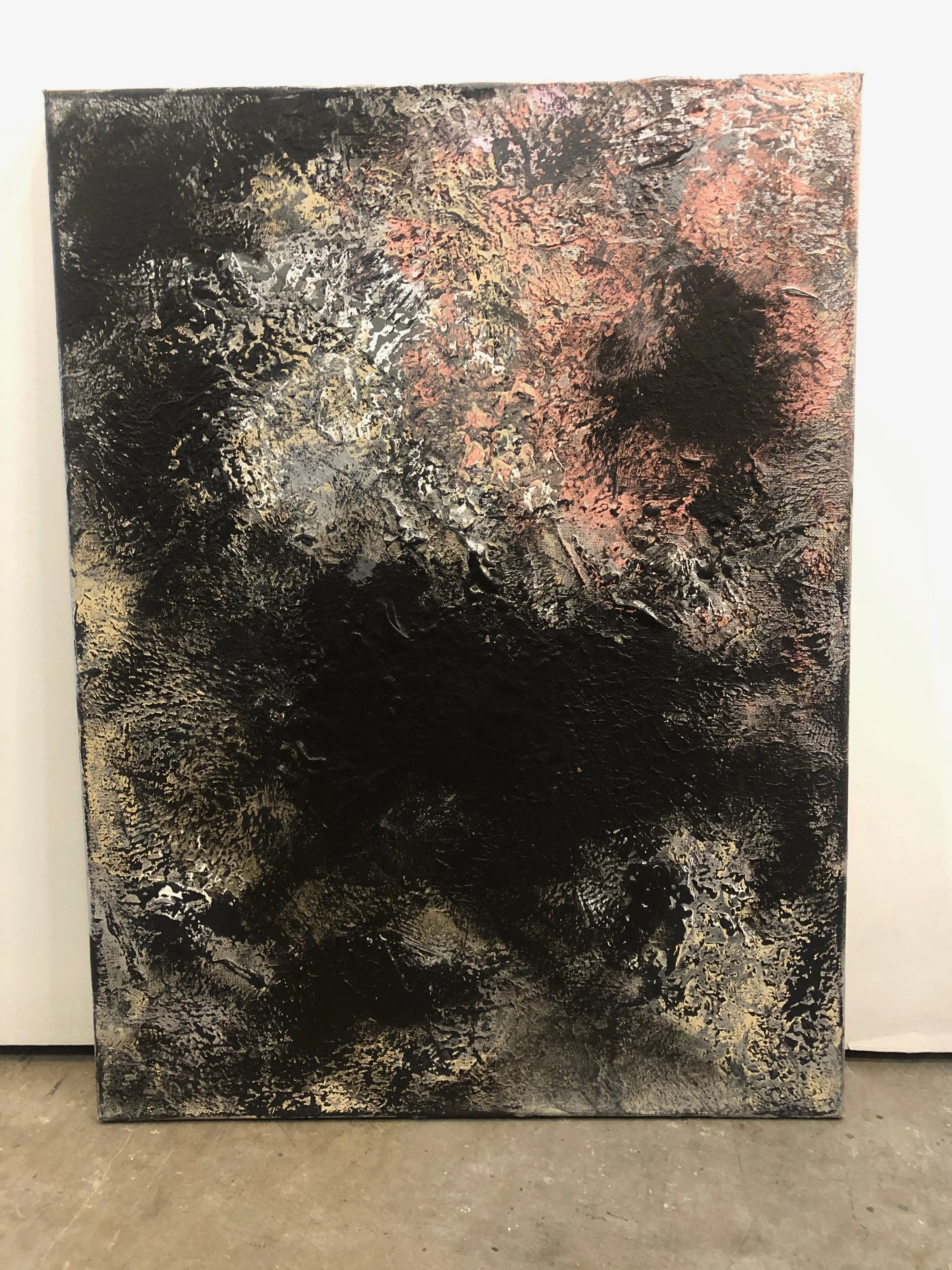 IMG_3562 Jensen 5 Galloping.jpeg