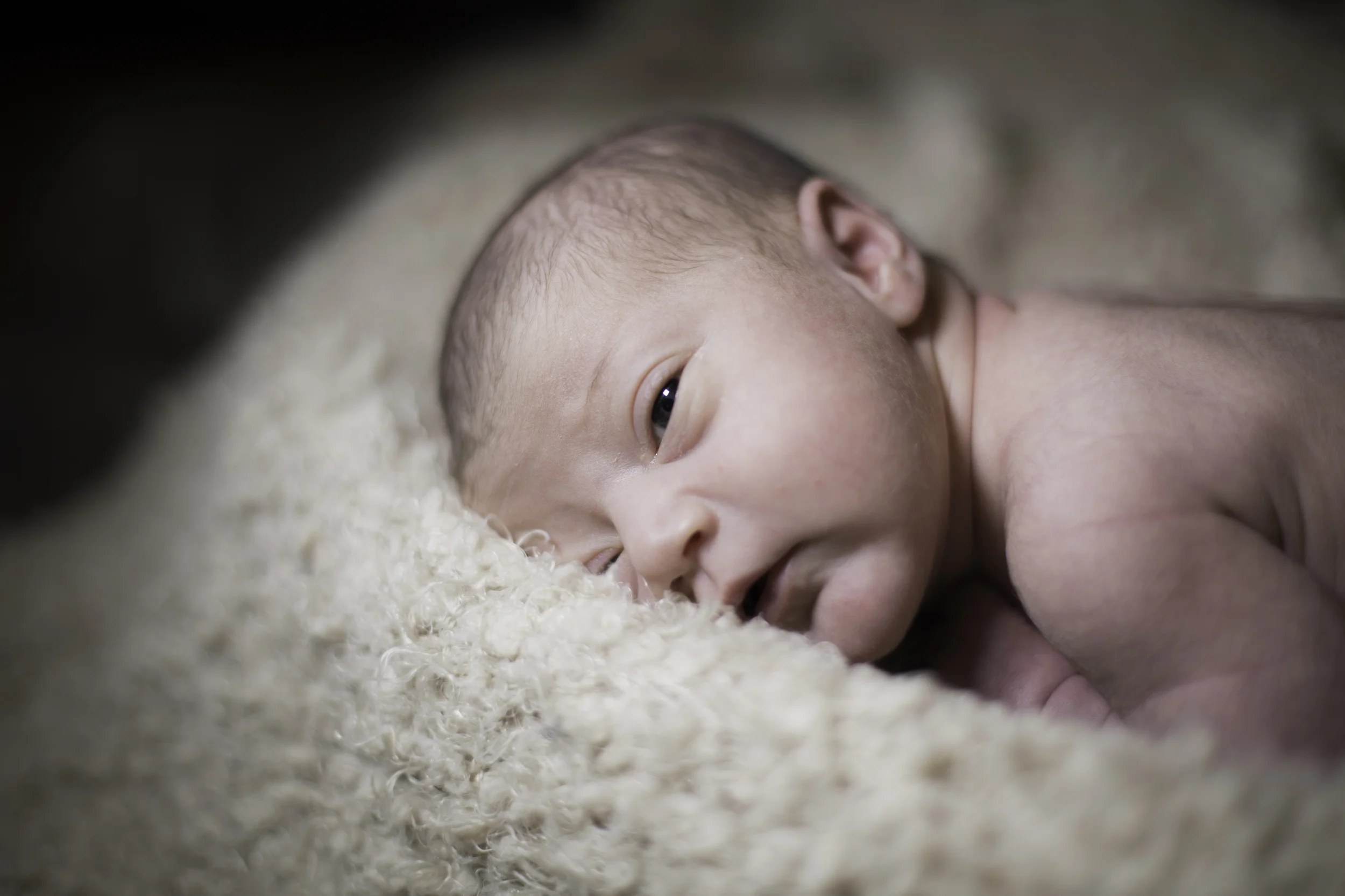 BabyWilliams-69.jpg