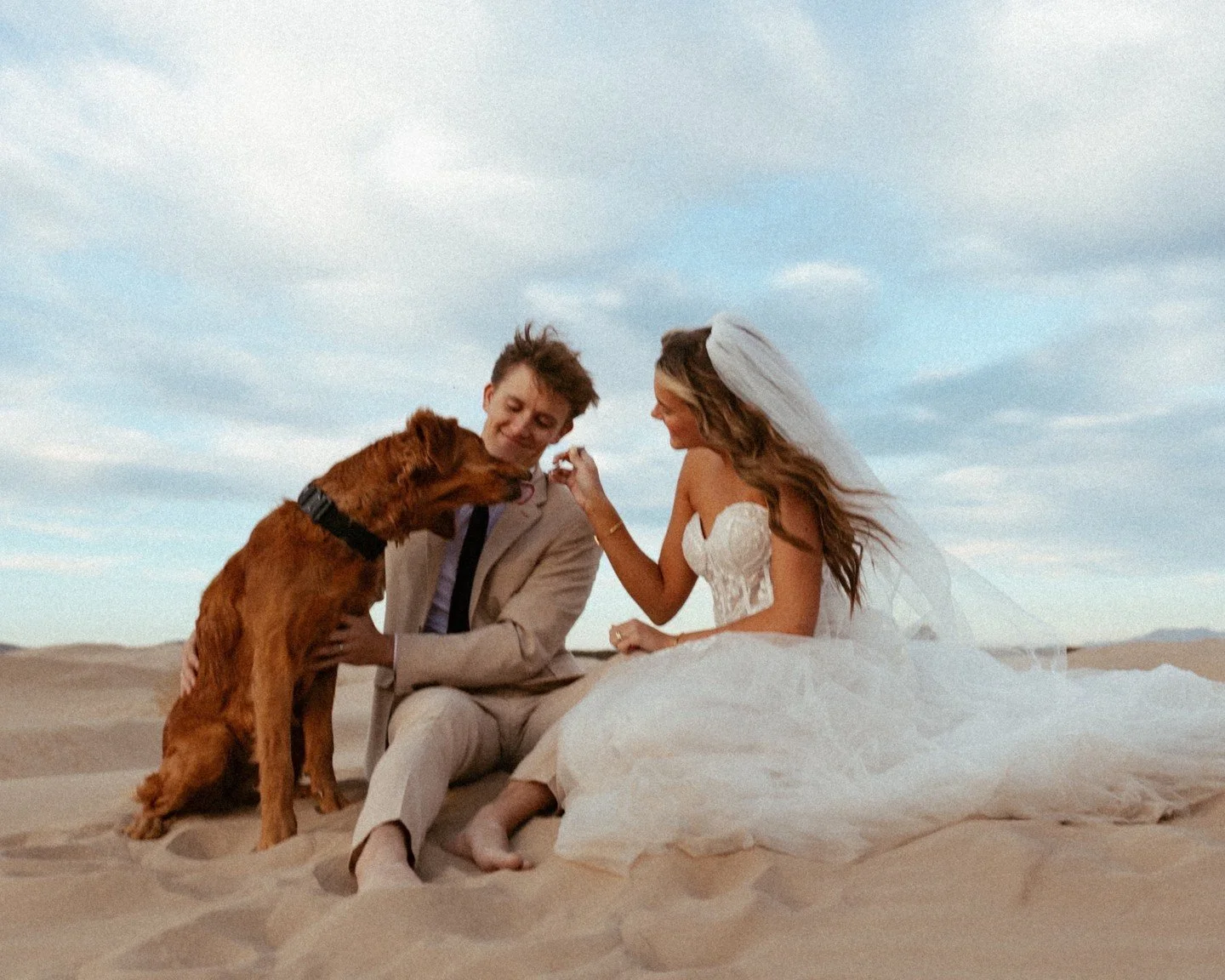 If you are eloping and bringing your dog for part of it, may I recommend including your fur baby in some cake cutting? You&rsquo;ll be happy, your doggo will be happy, and your photographer will be VERY happy ;) 

#dogwedding #dog #cakecitting #elope