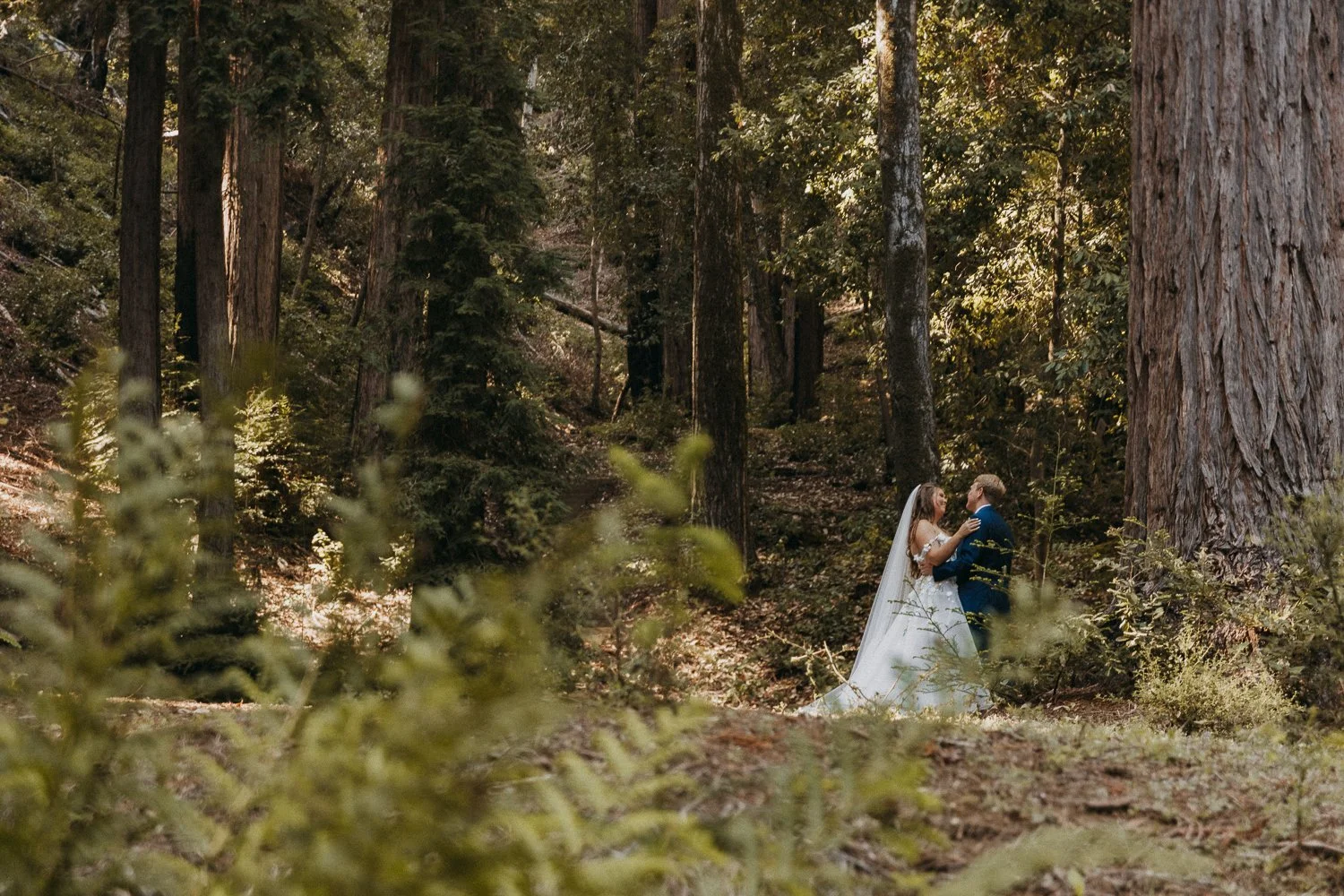 redwoods-wedding-photographer-ethereal-DATU9494.jpg