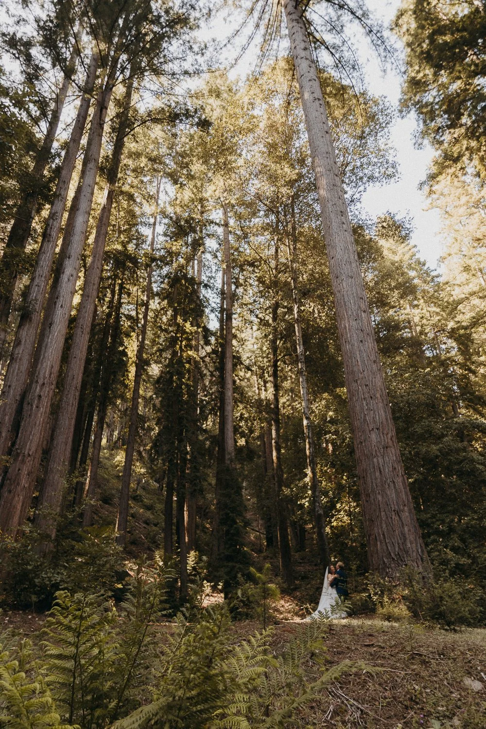 redwoods-wedding-photographer-ethereal-DATU9496.jpg