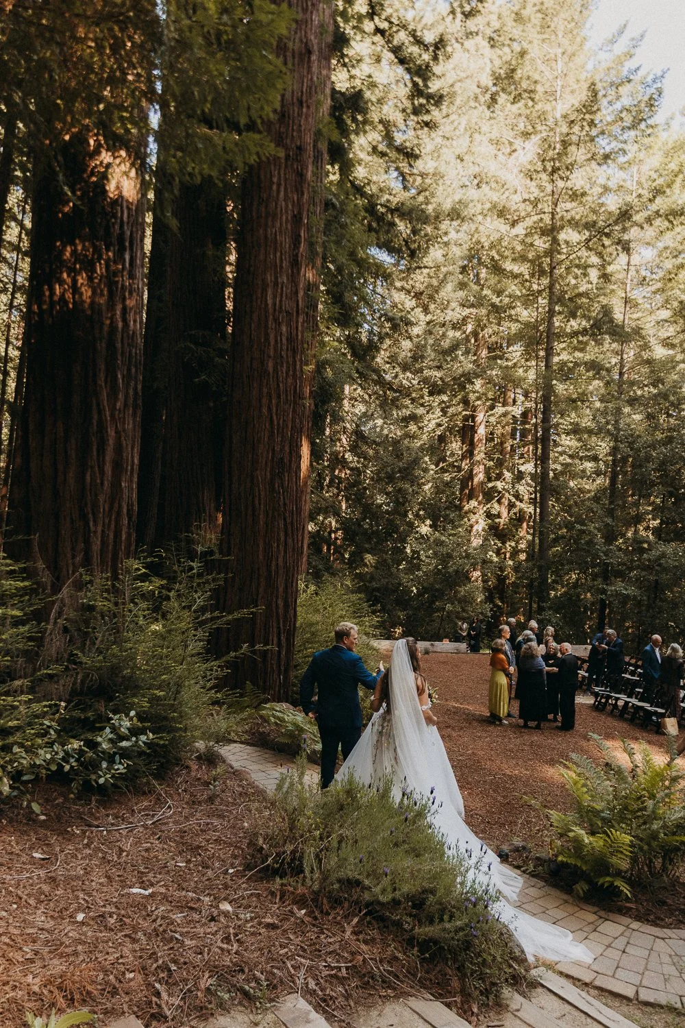 redwoods-wedding-photographer-ethereal-DATU9548.jpg