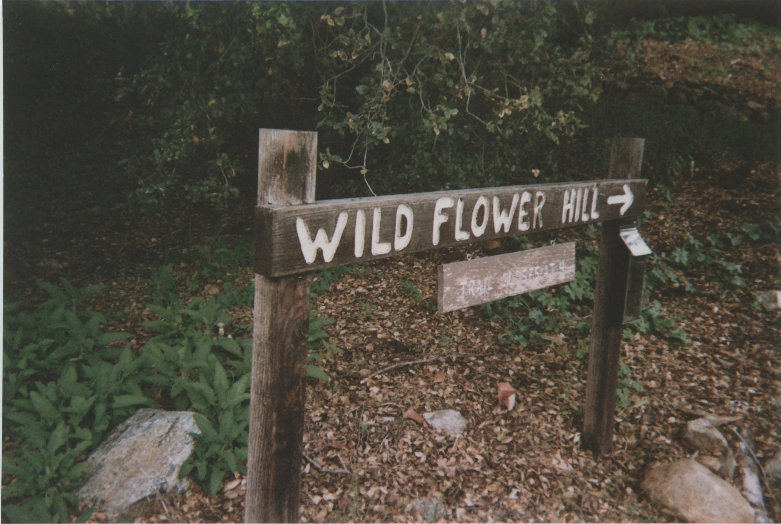 Copy of Scan 5.jpeg