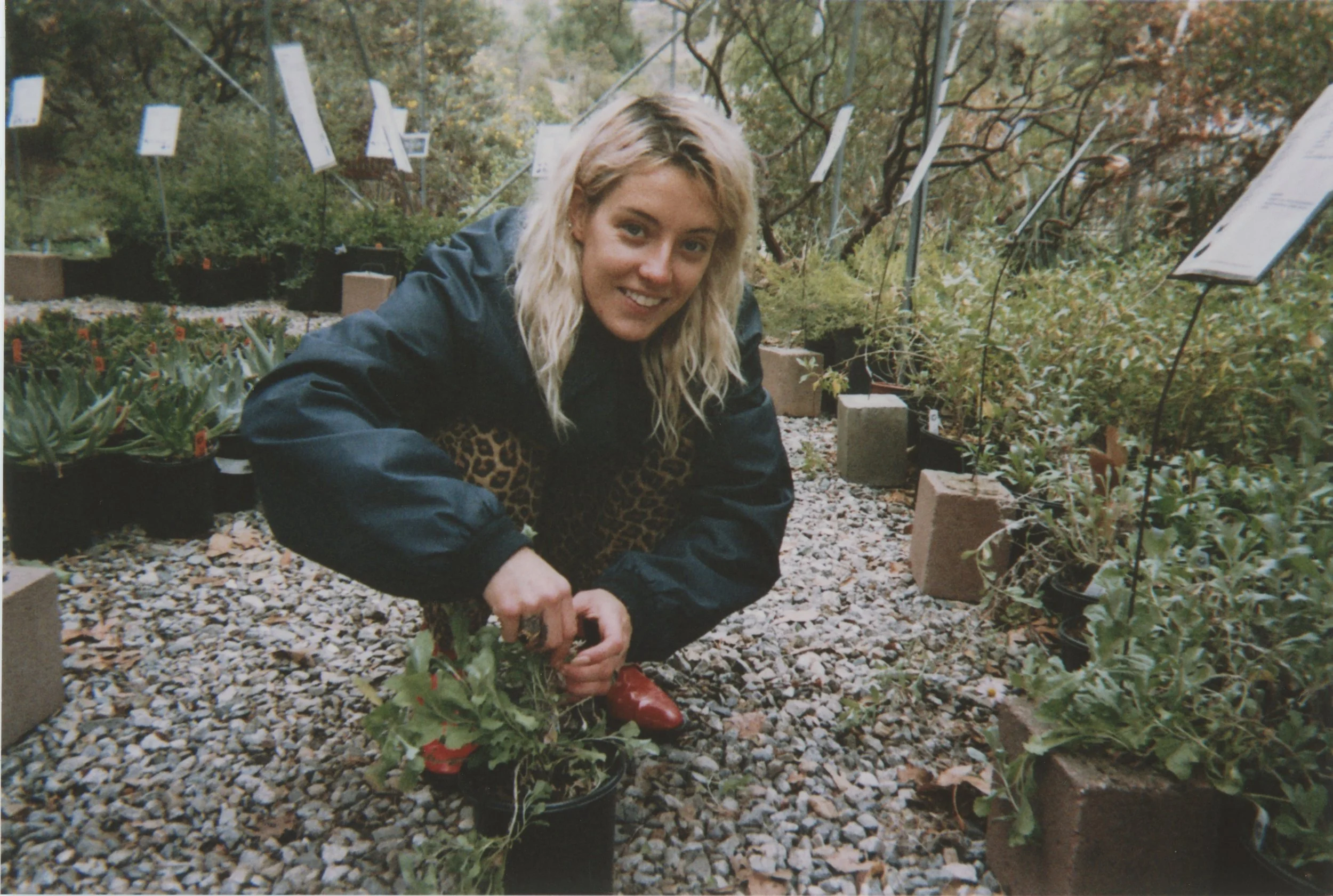 Copy of Scan 3.jpeg