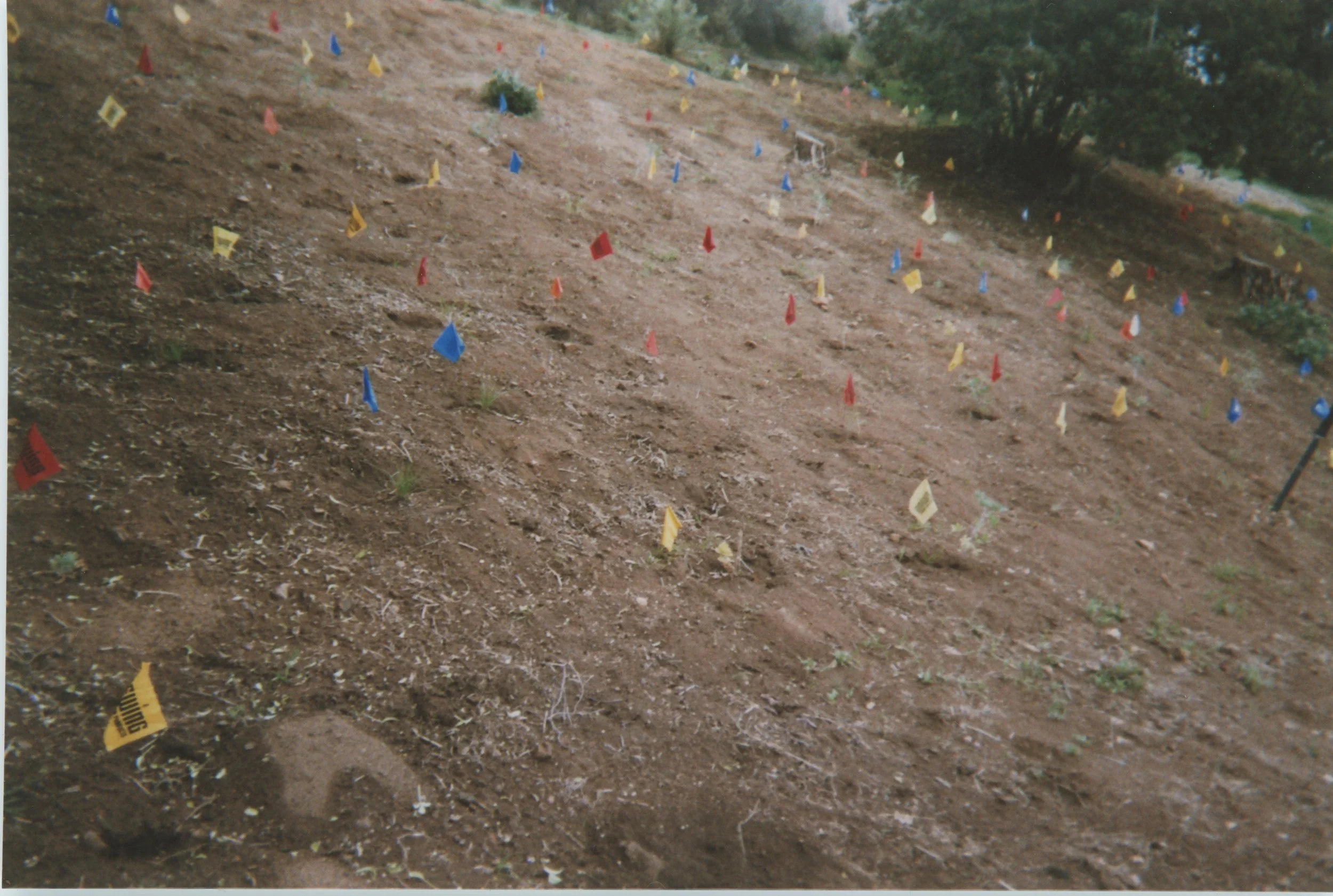 Copy of Scan 14.jpeg