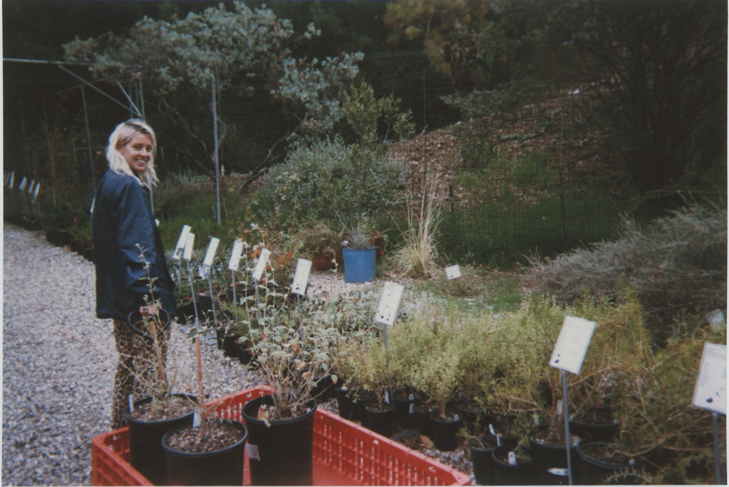 Copy of Scan 12.jpeg